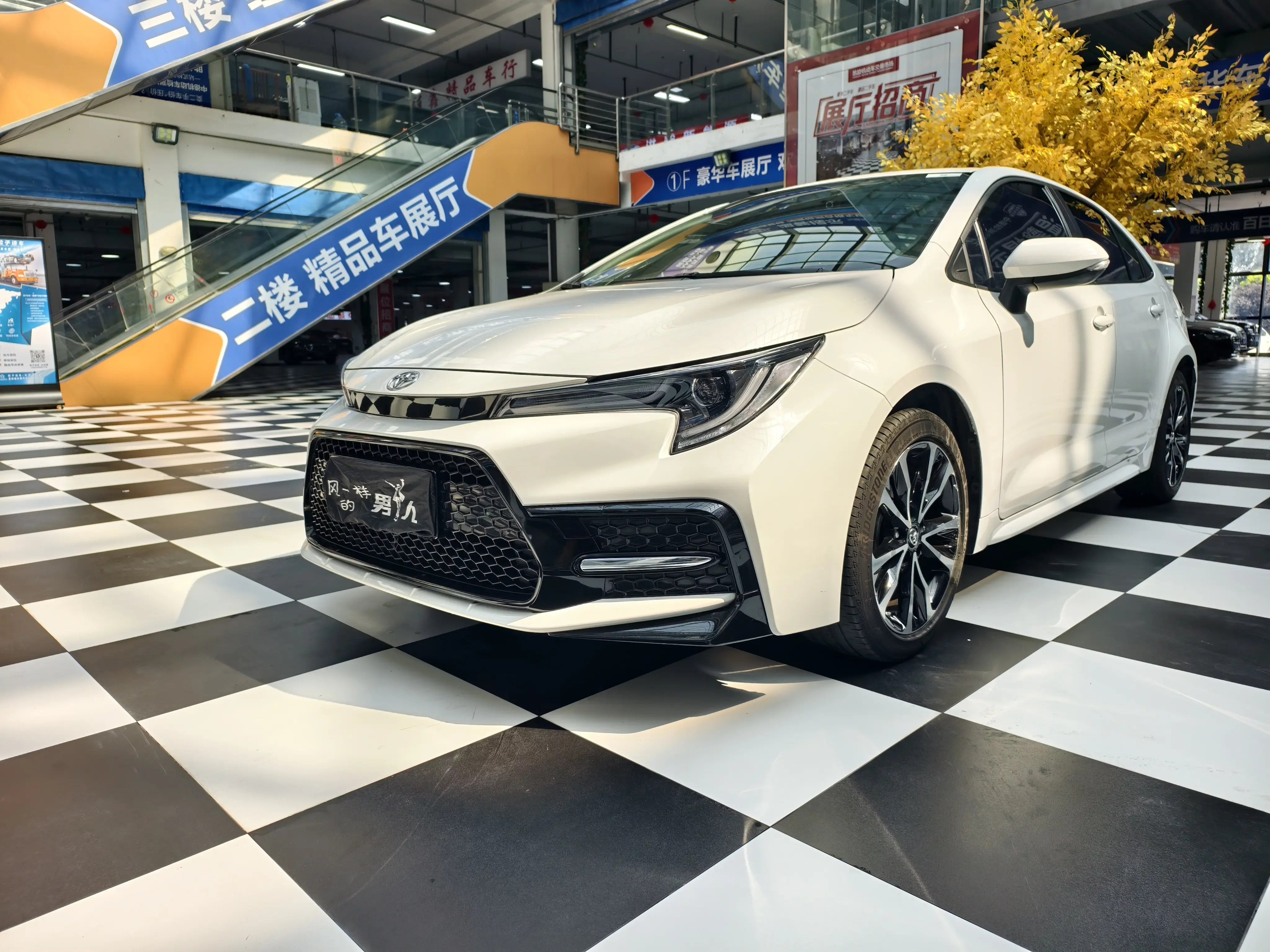 Toyota Levin