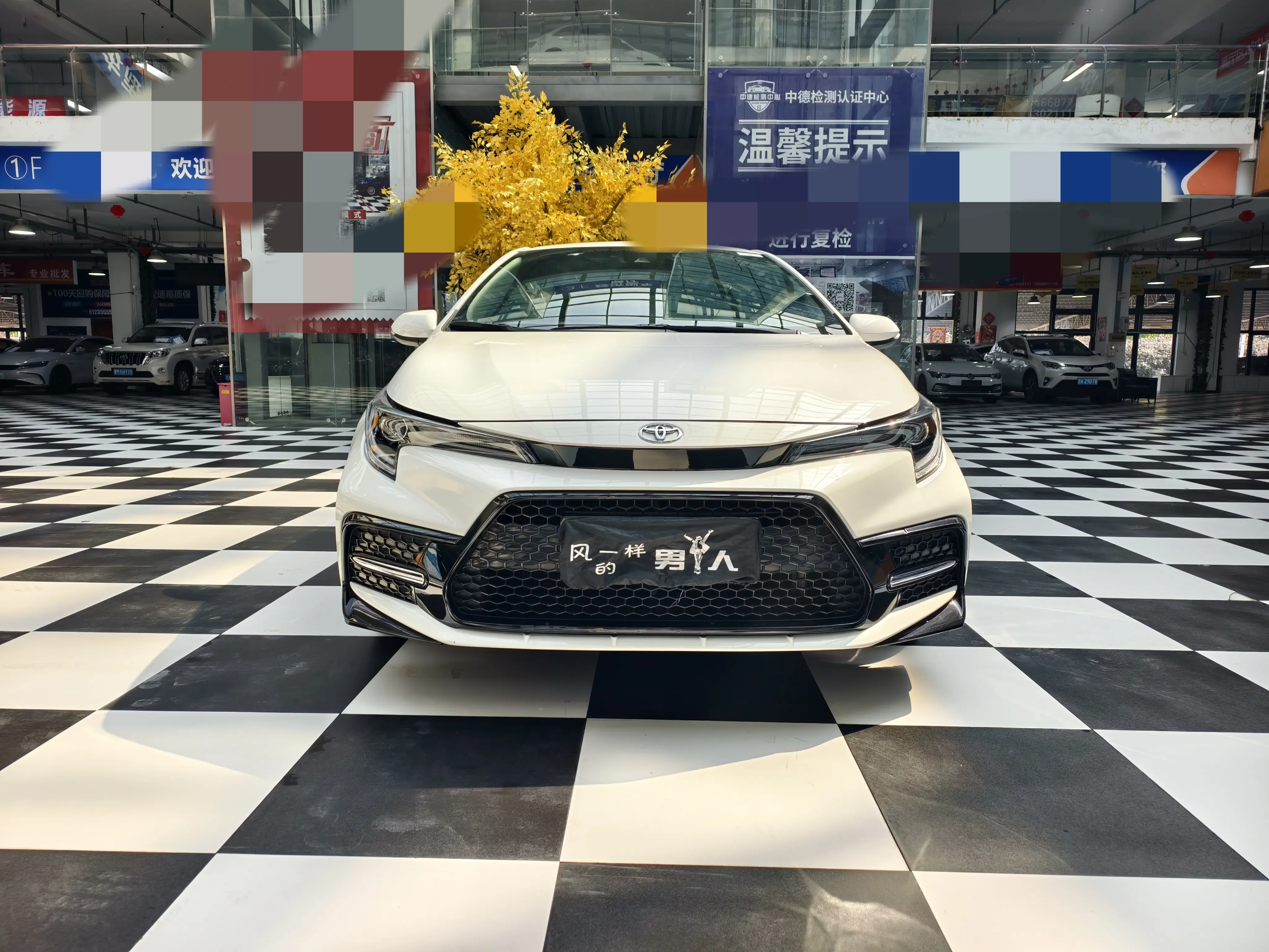 Toyota Levin