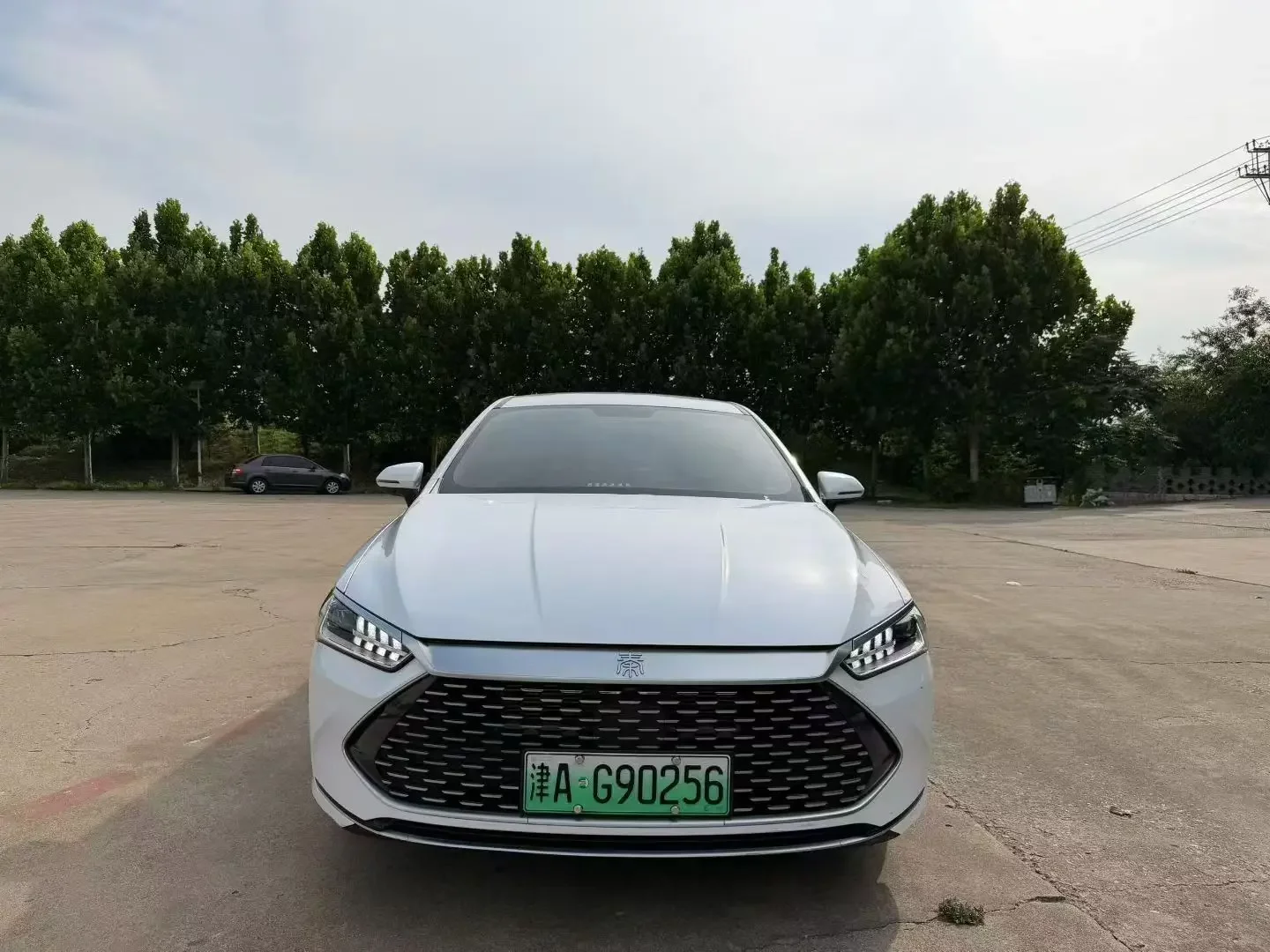 BYD Qin PLUS DM
