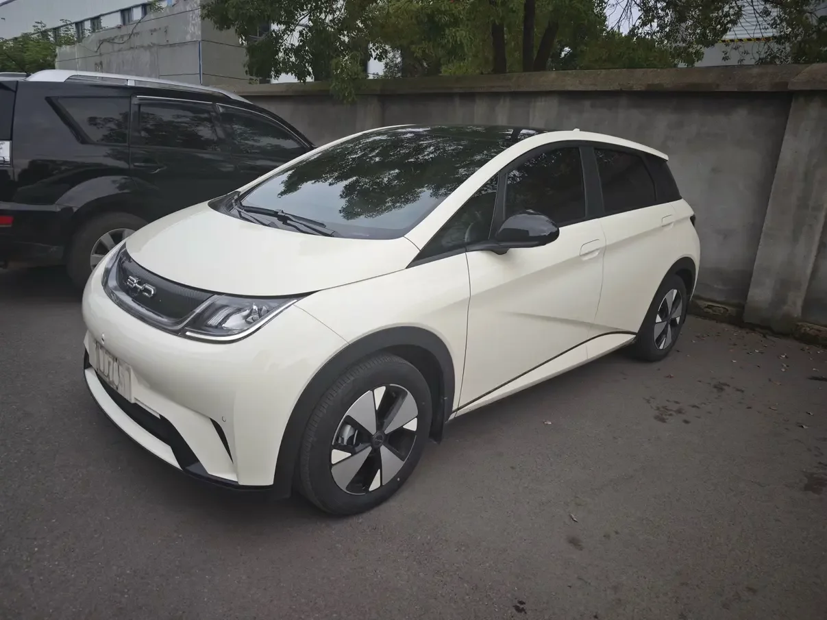 BYD dolphin
