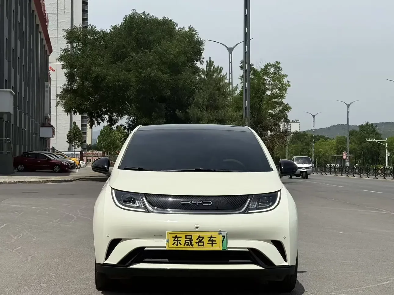 BYD dolphin