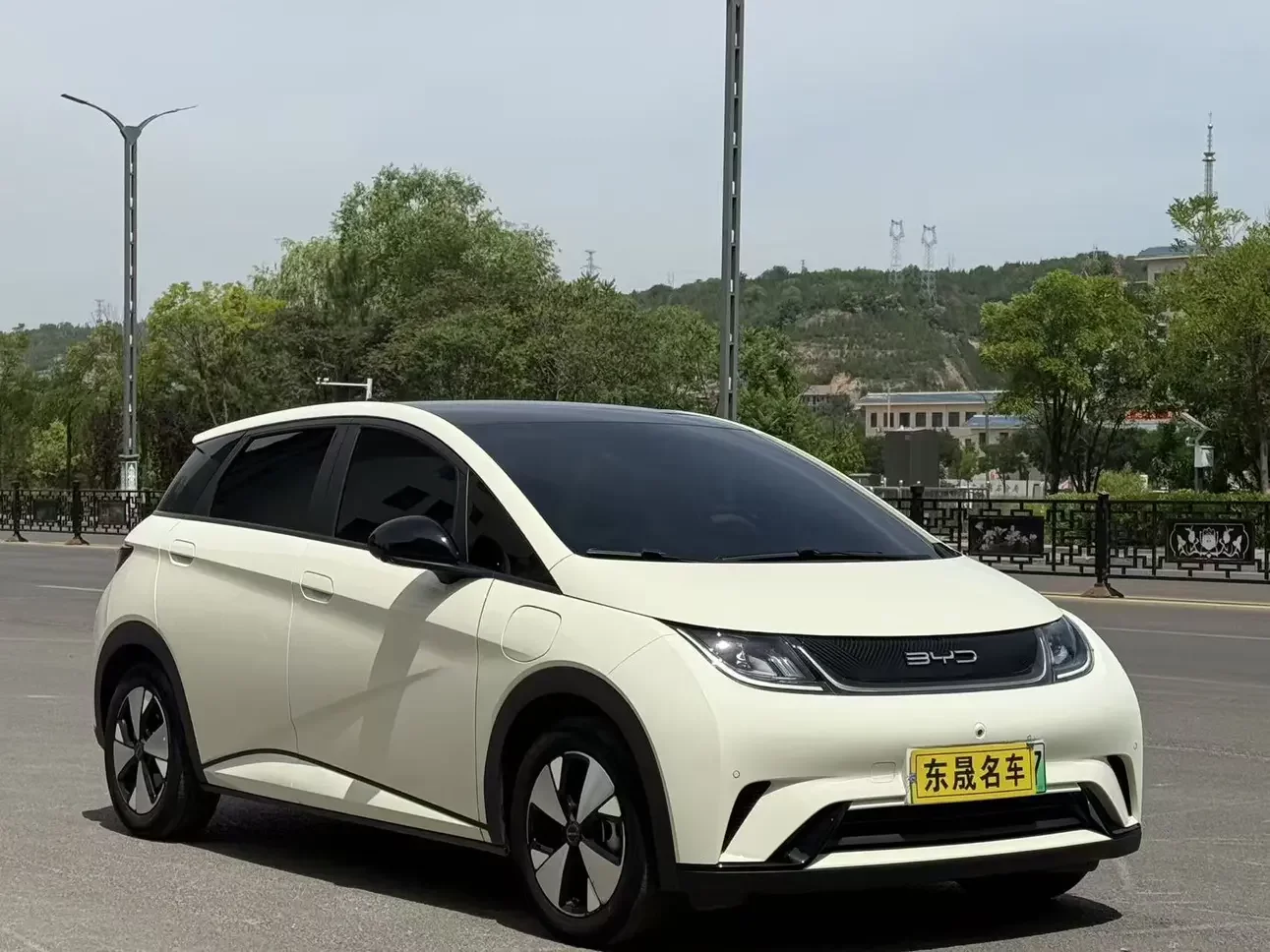 BYD dolphin
