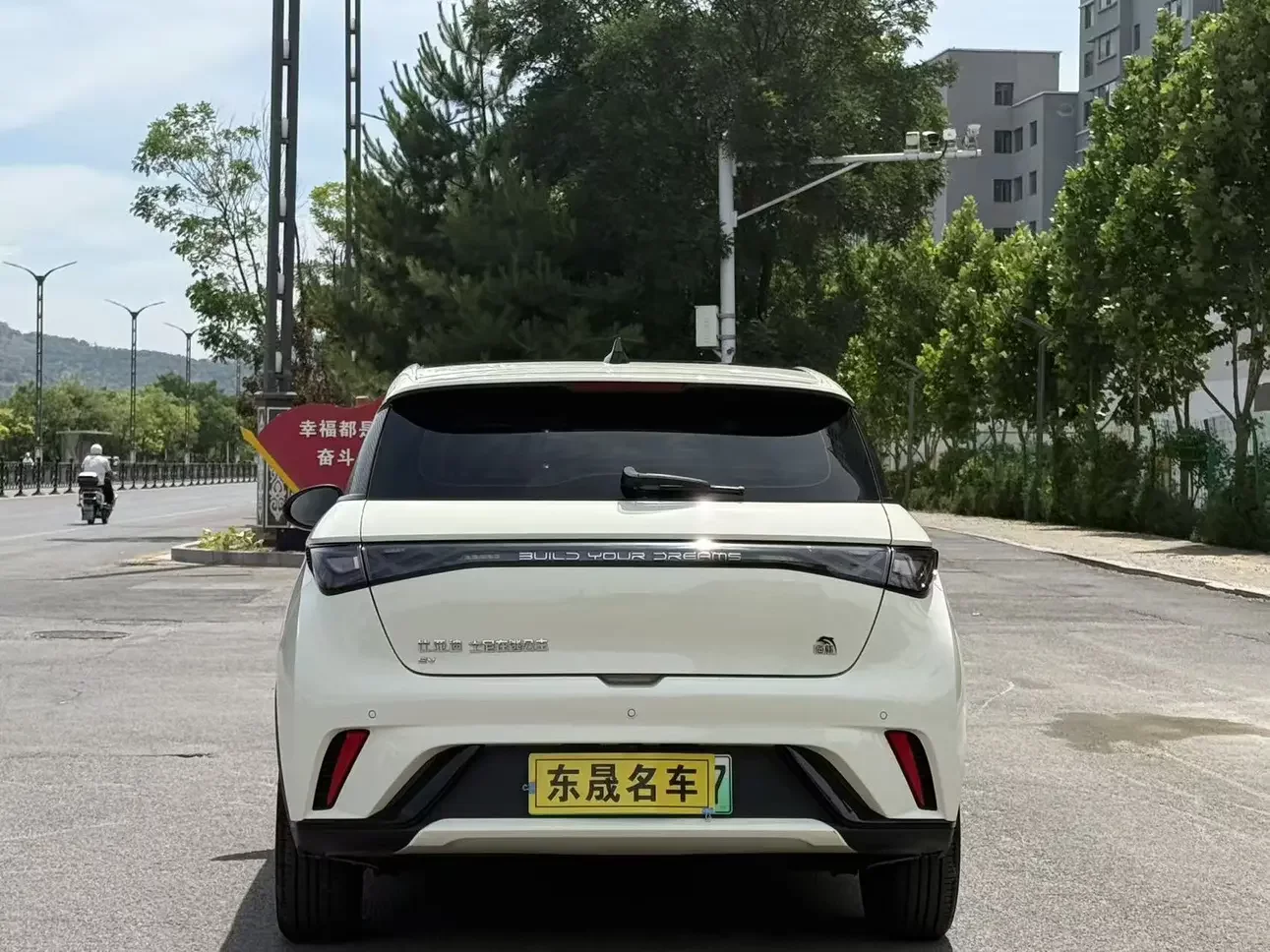 BYD dolphin