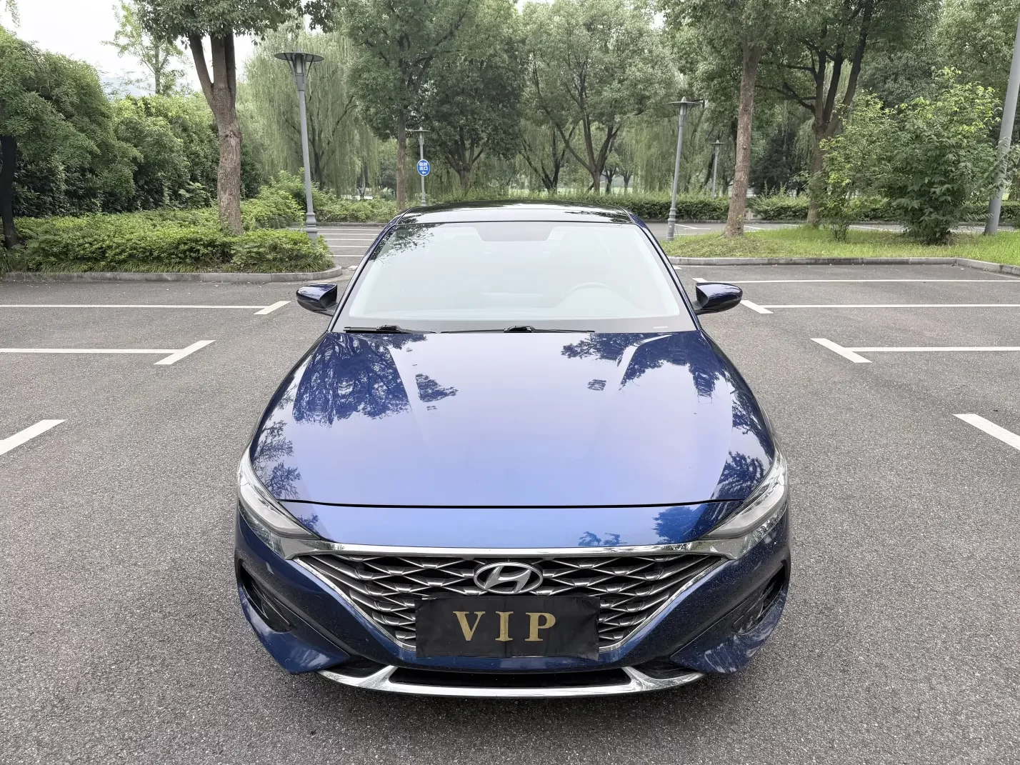Hyundai Lafesta