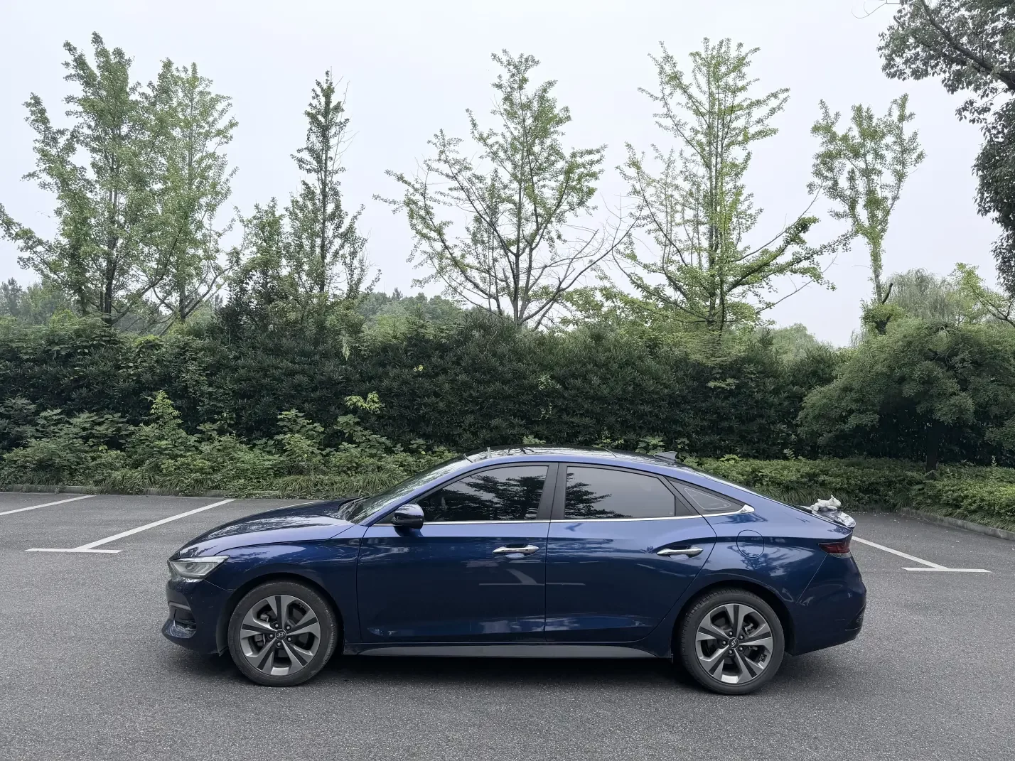Hyundai Lafesta