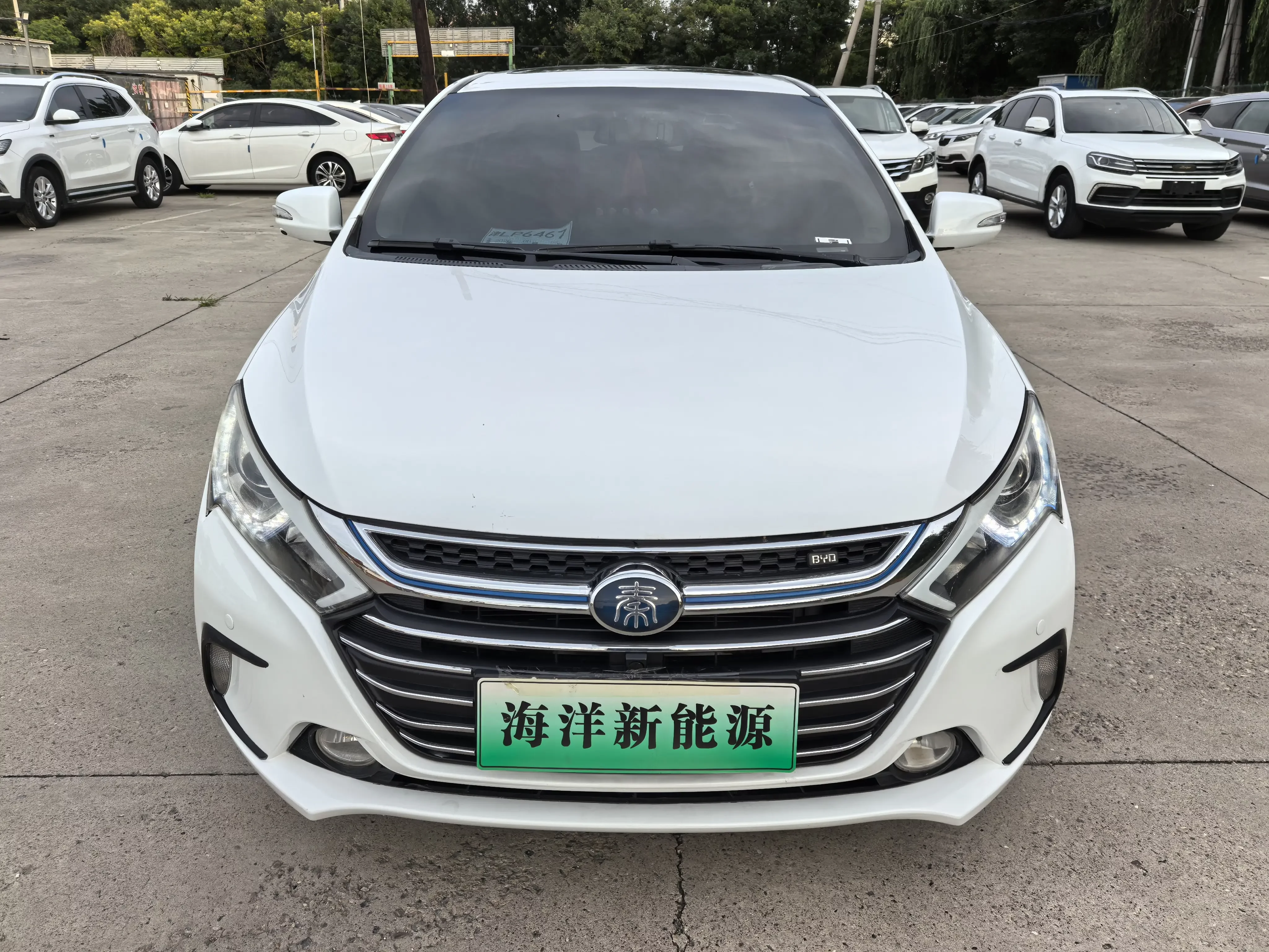 BYD Qin DM