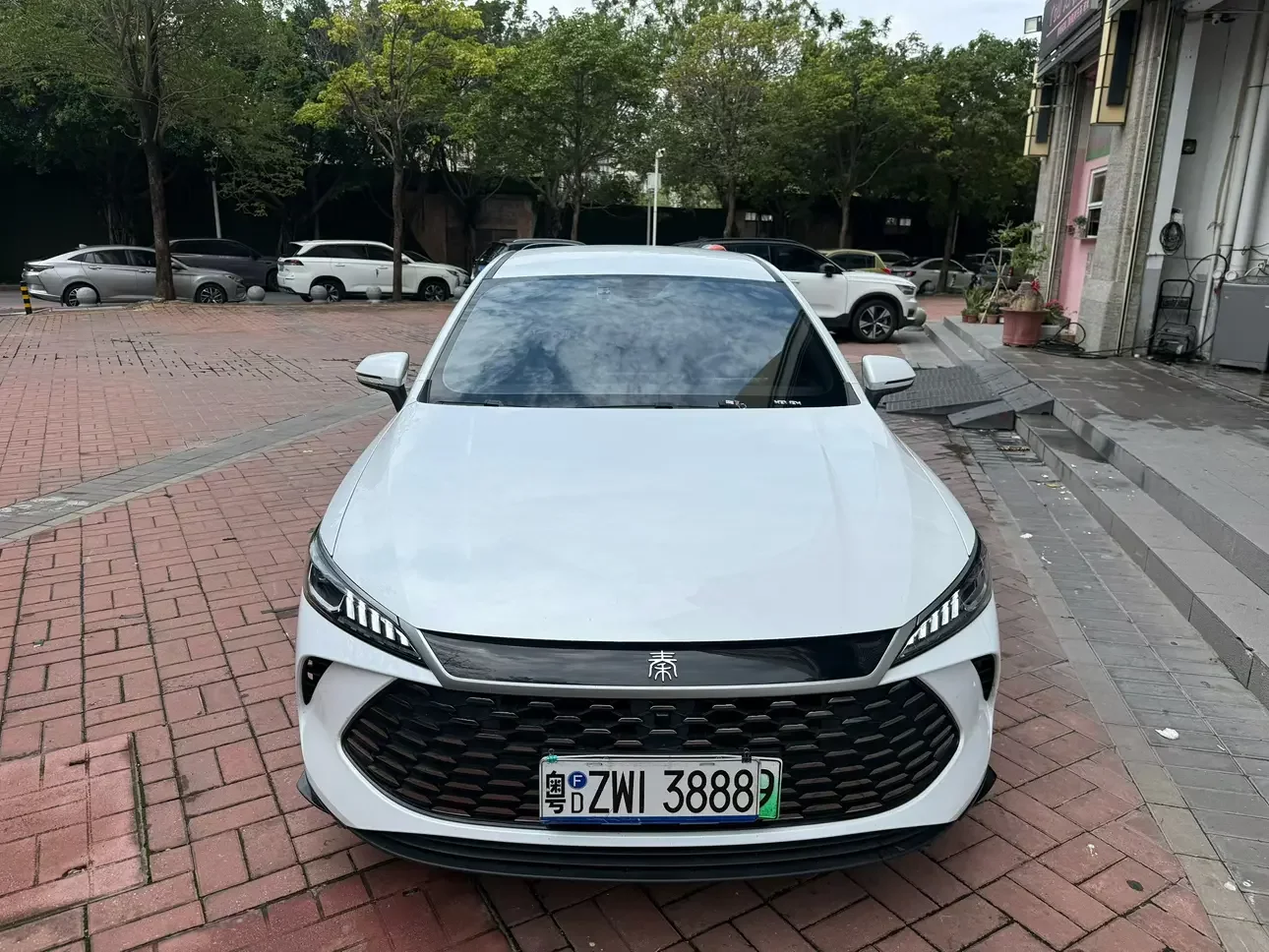 BYD Qin PLUS DM