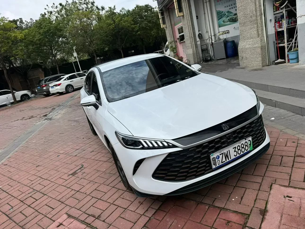 BYD Qin PLUS DM
