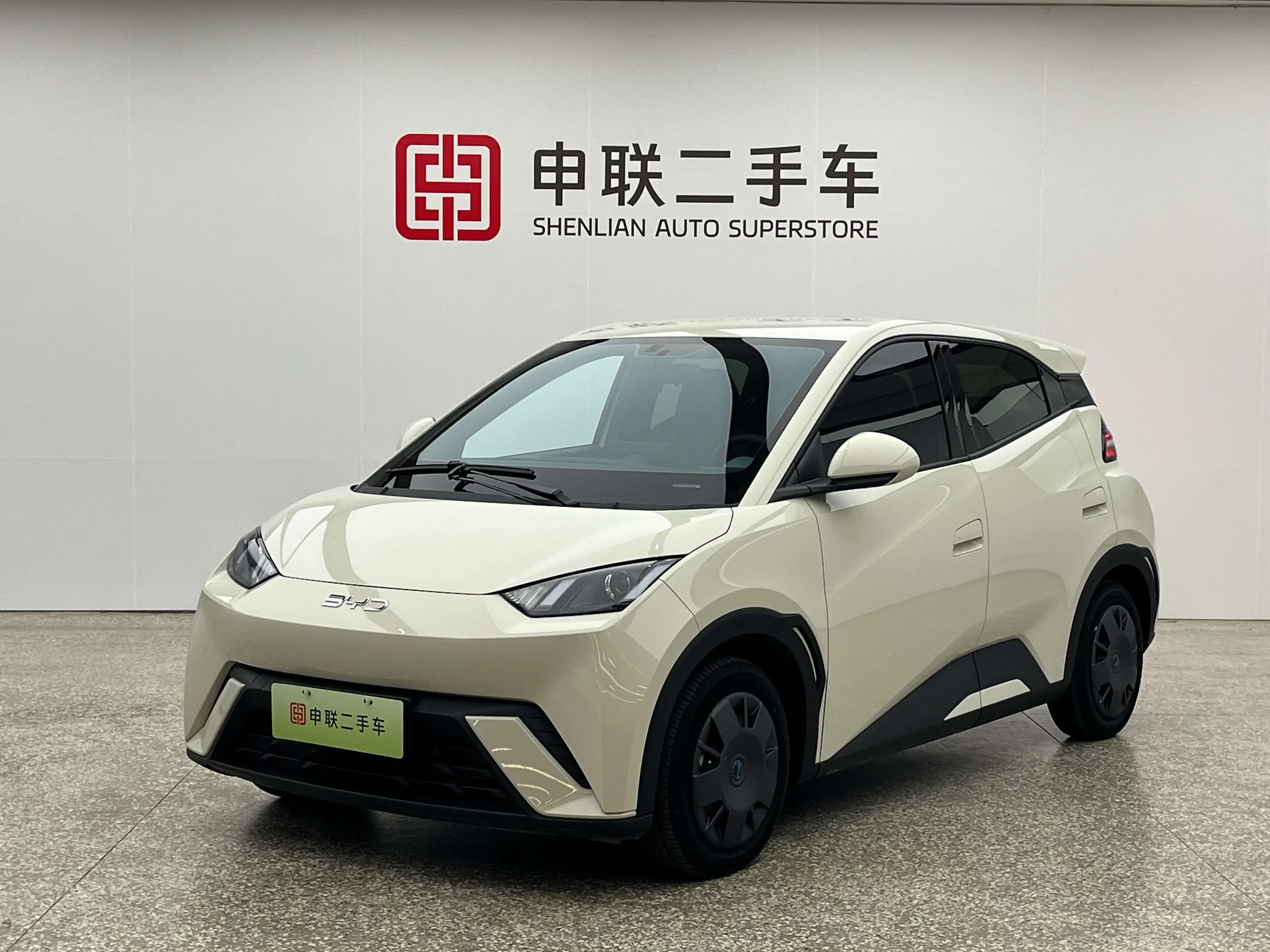 BYD seagull