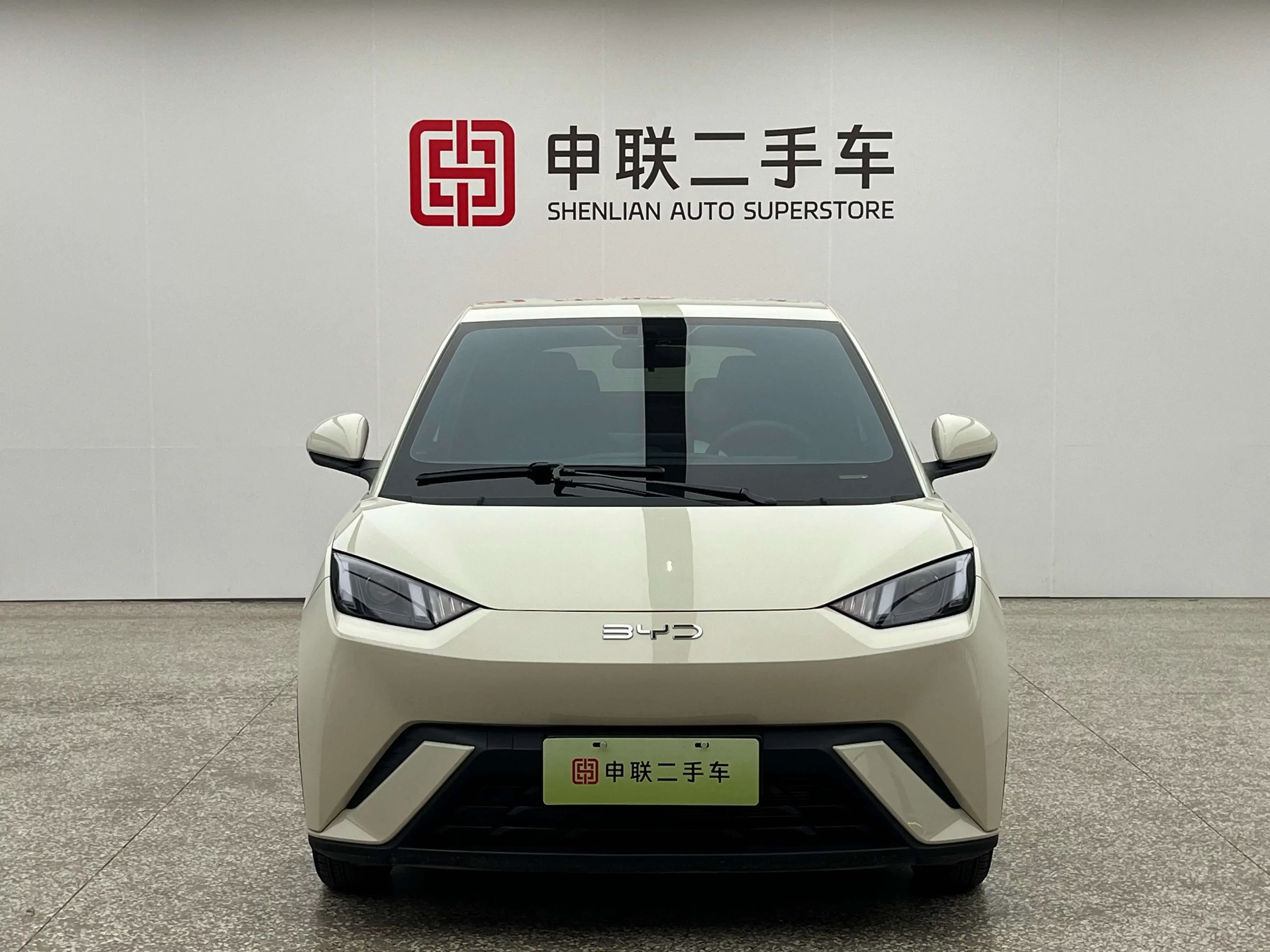 BYD seagull