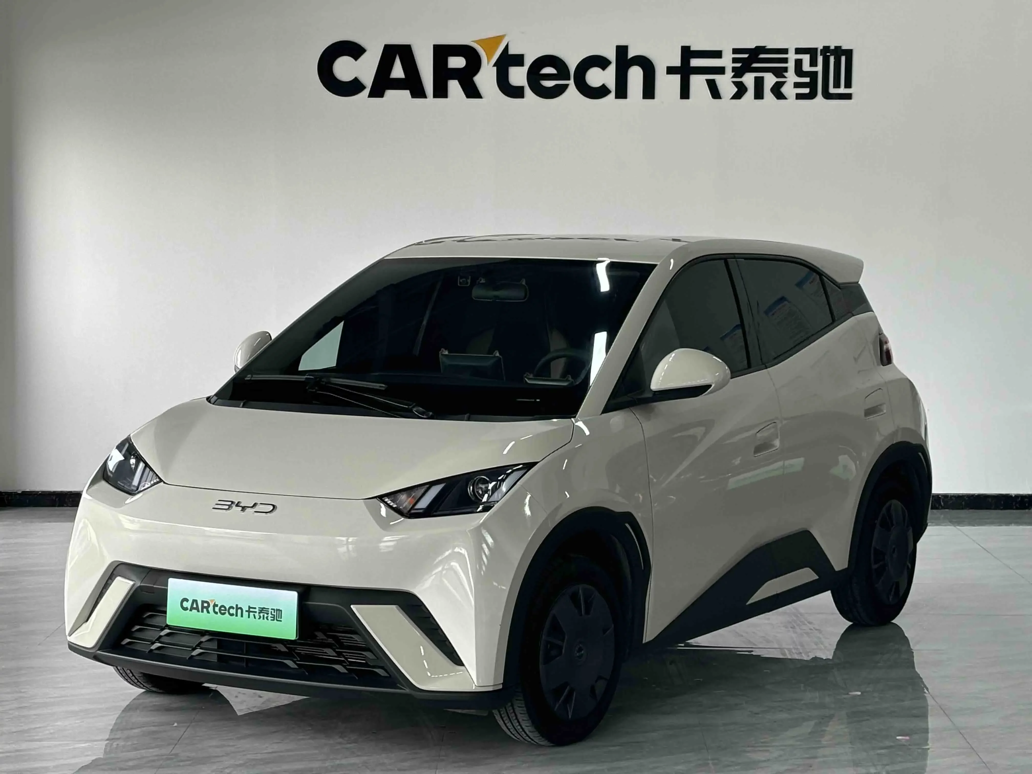 BYD seagull