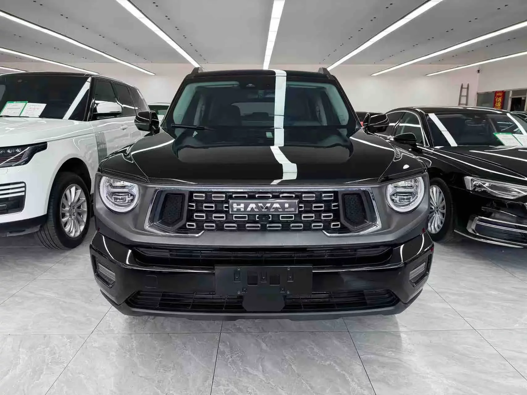 Haval H-Dog