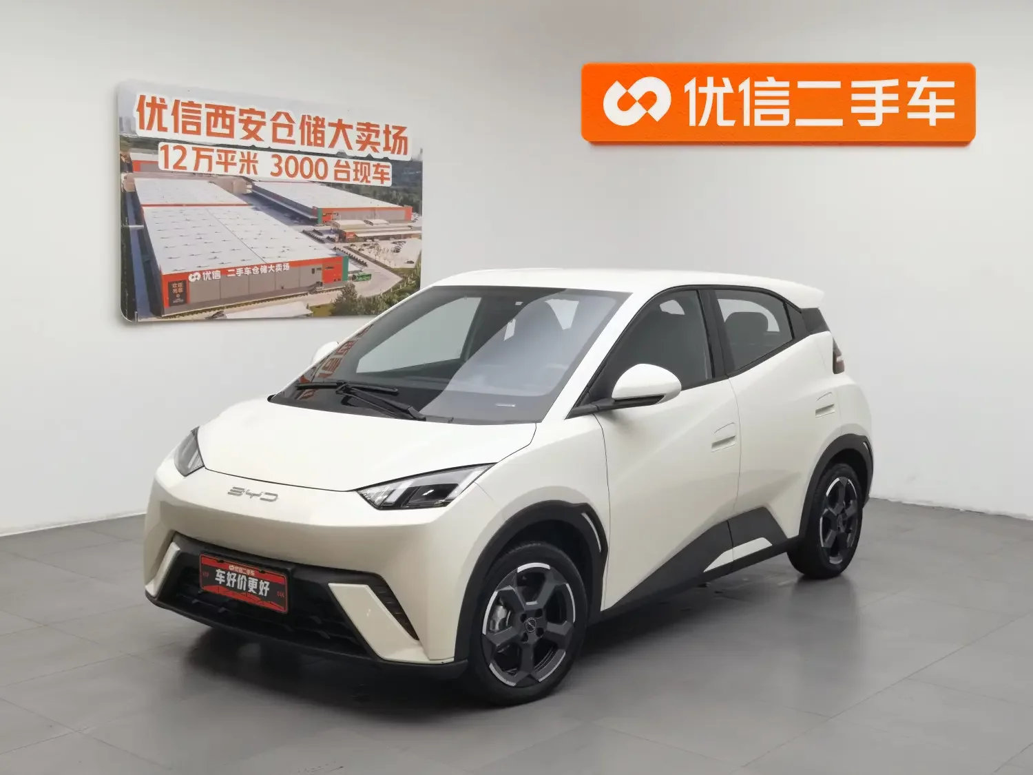 BYD seagull