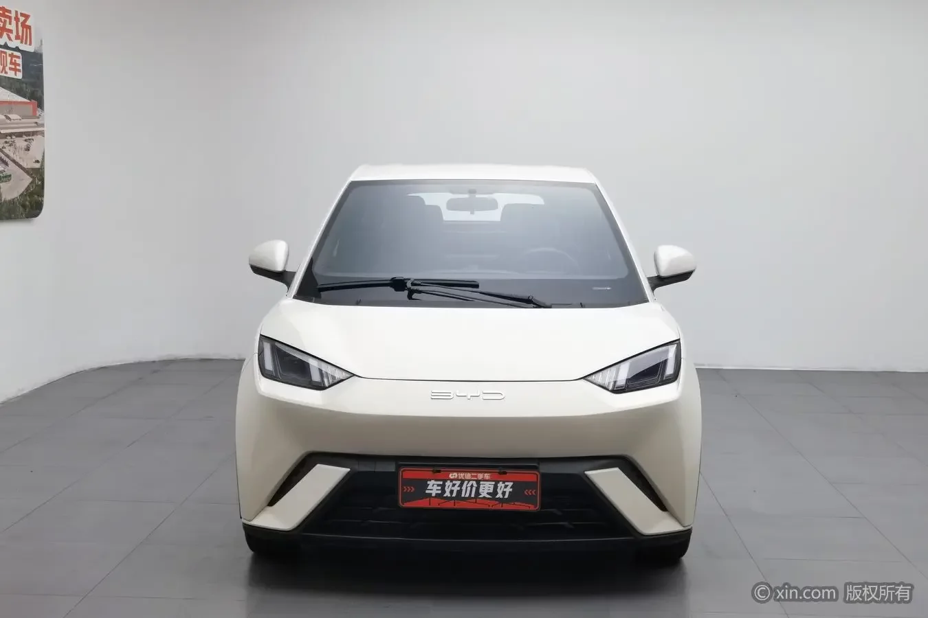 BYD seagull