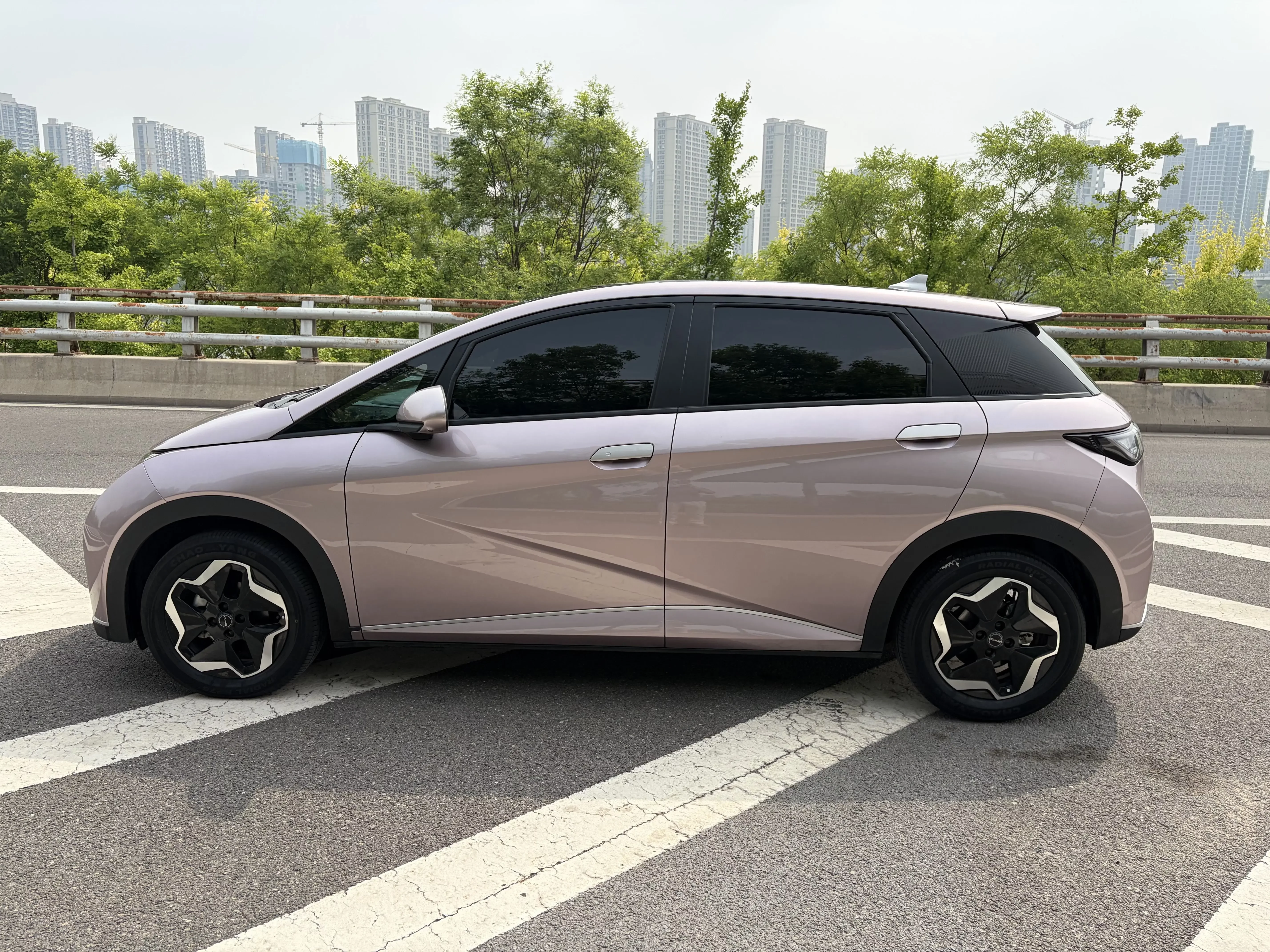 BYD dolphin