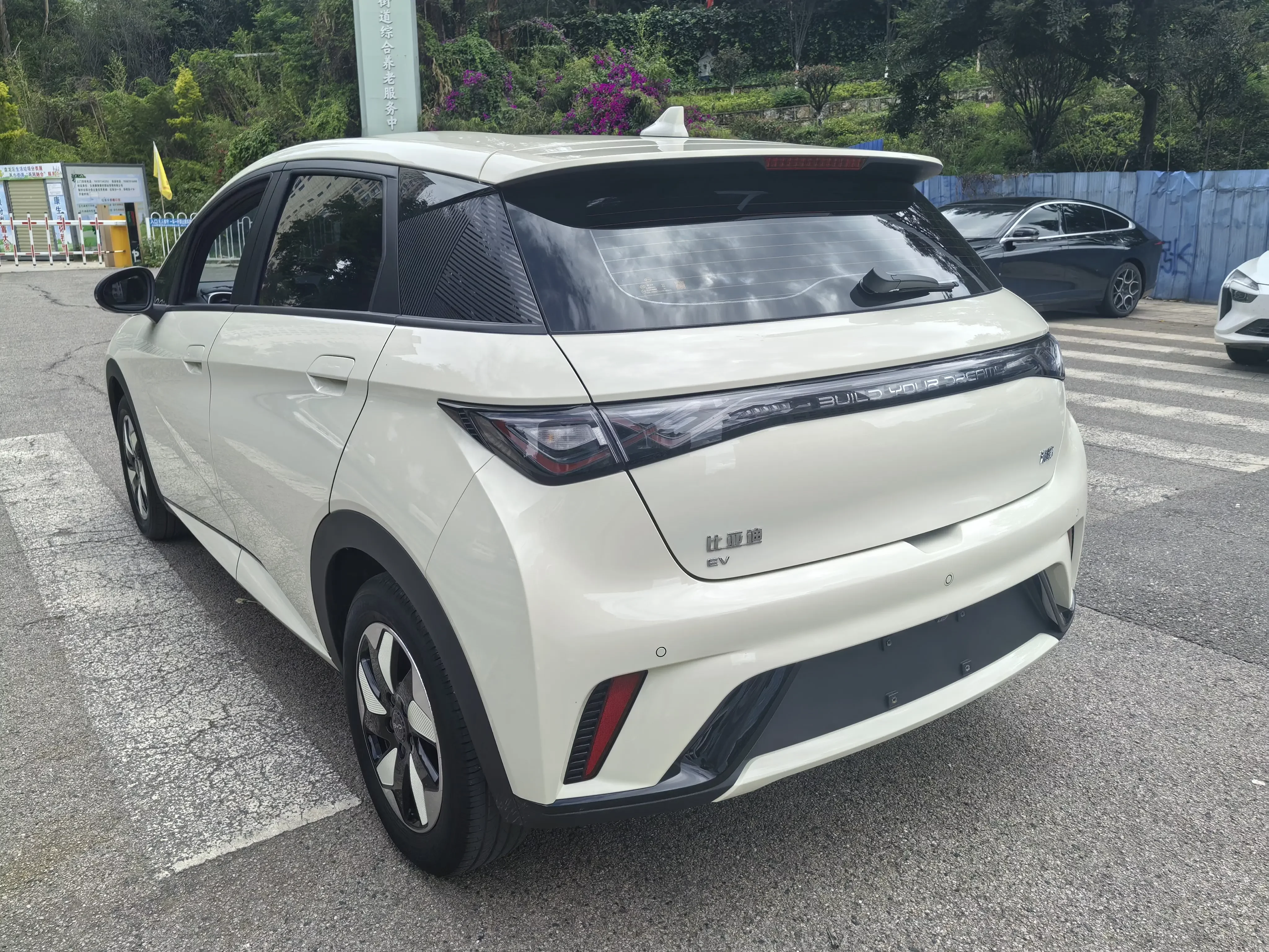 BYD dolphin