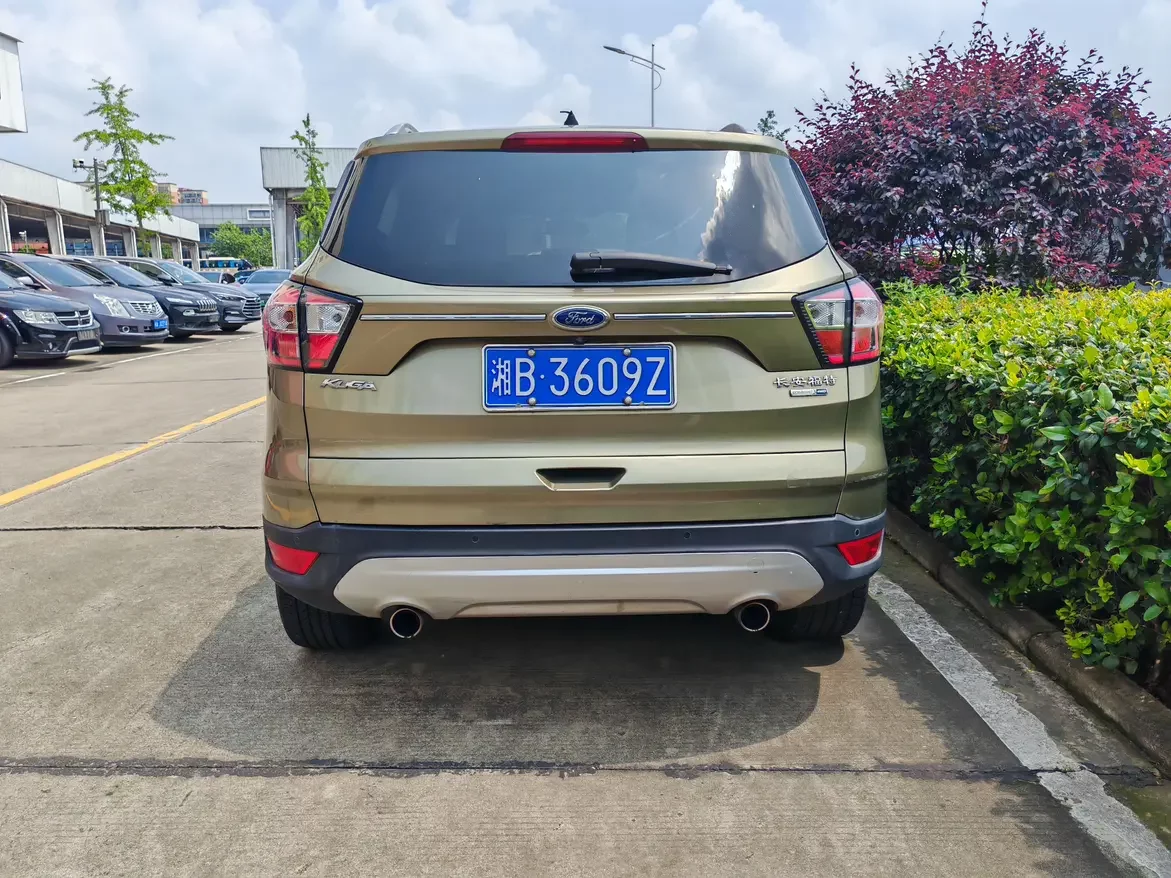 Ford wing tiger