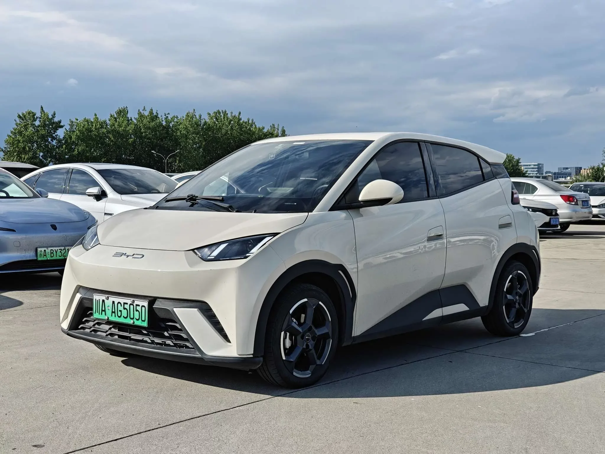 BYD seagull