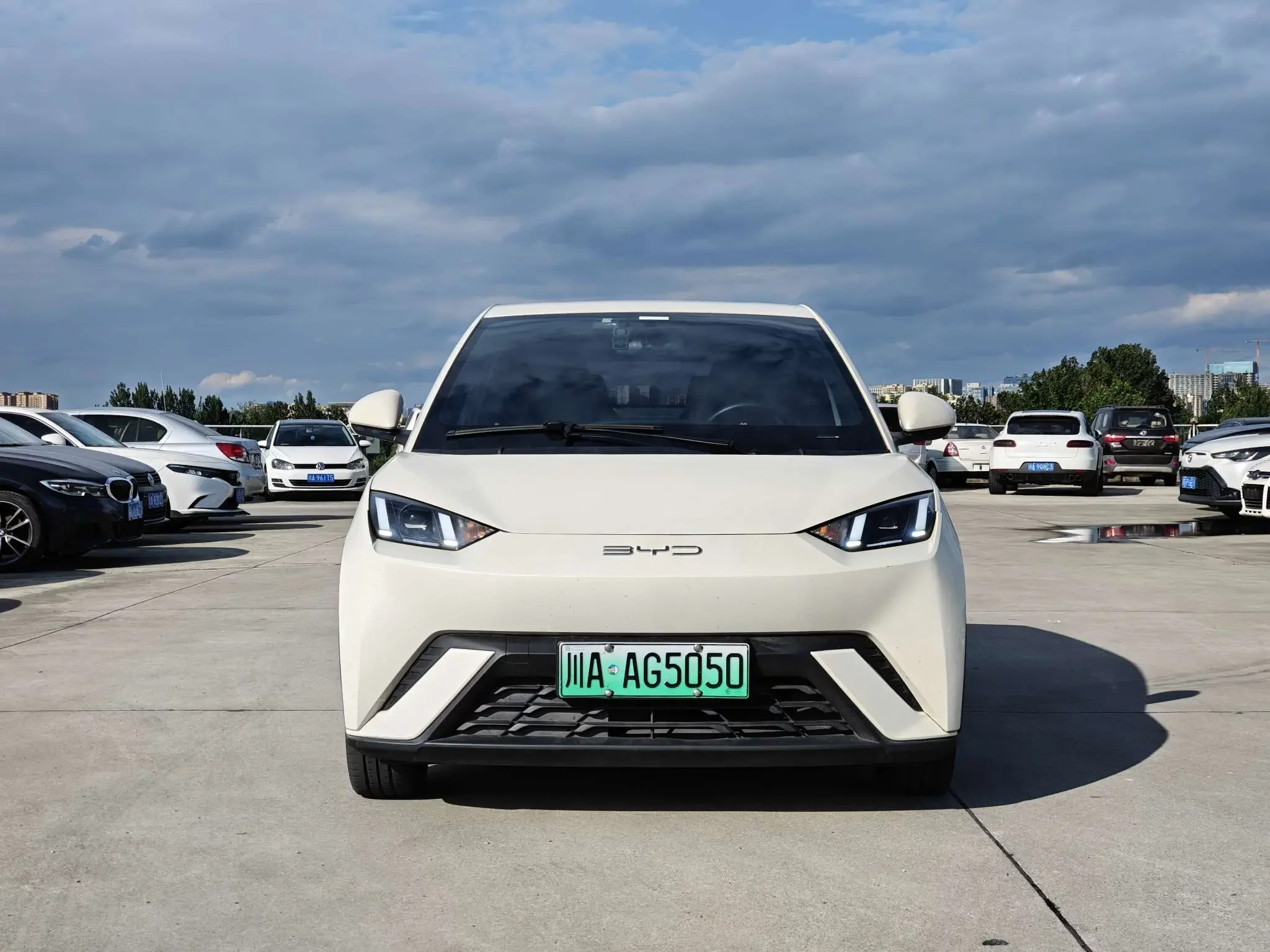 BYD seagull