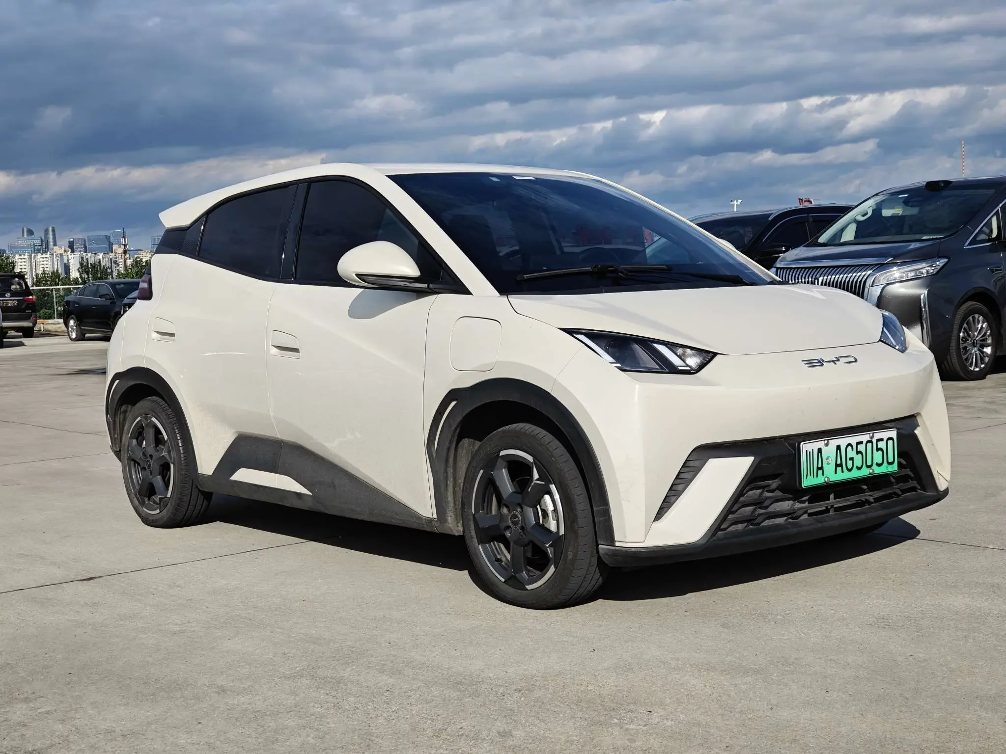 BYD seagull