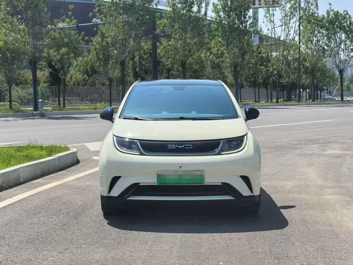 BYD dolphin