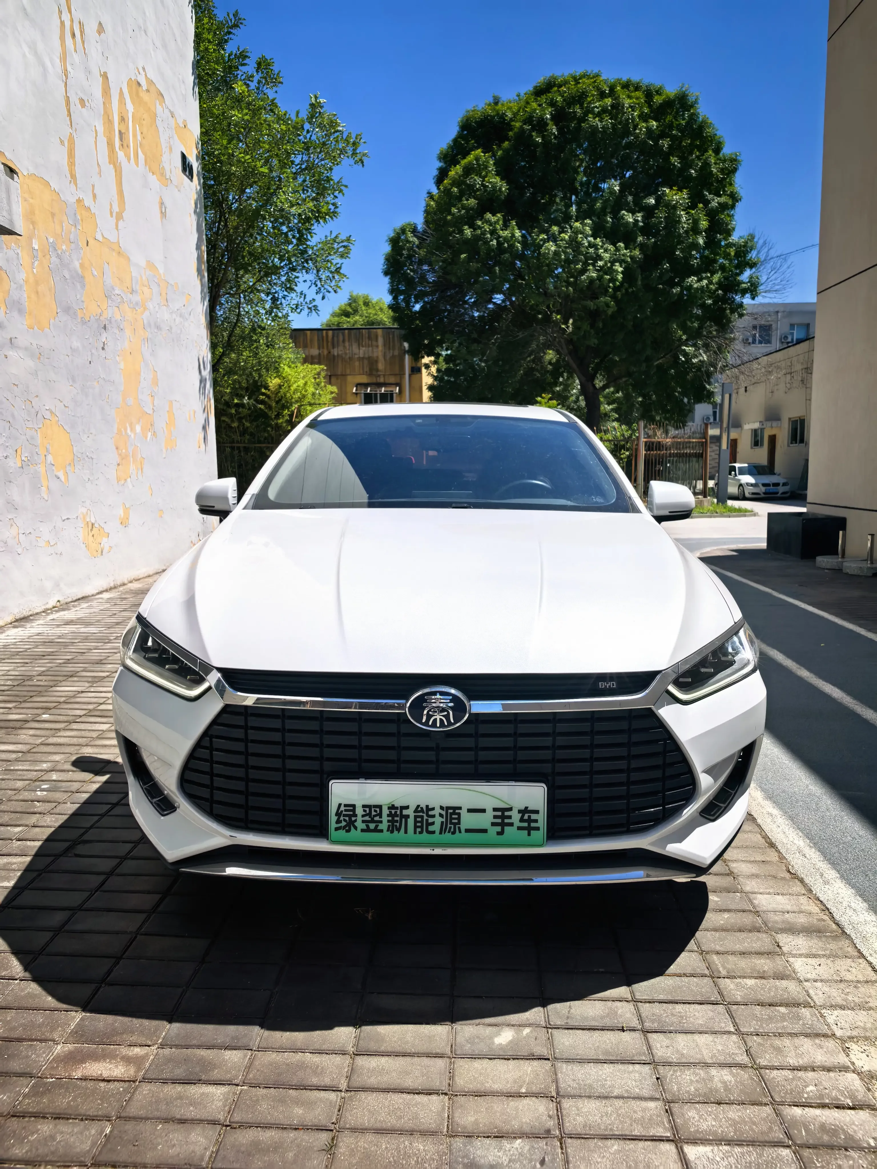 BYD Qin Pro EV