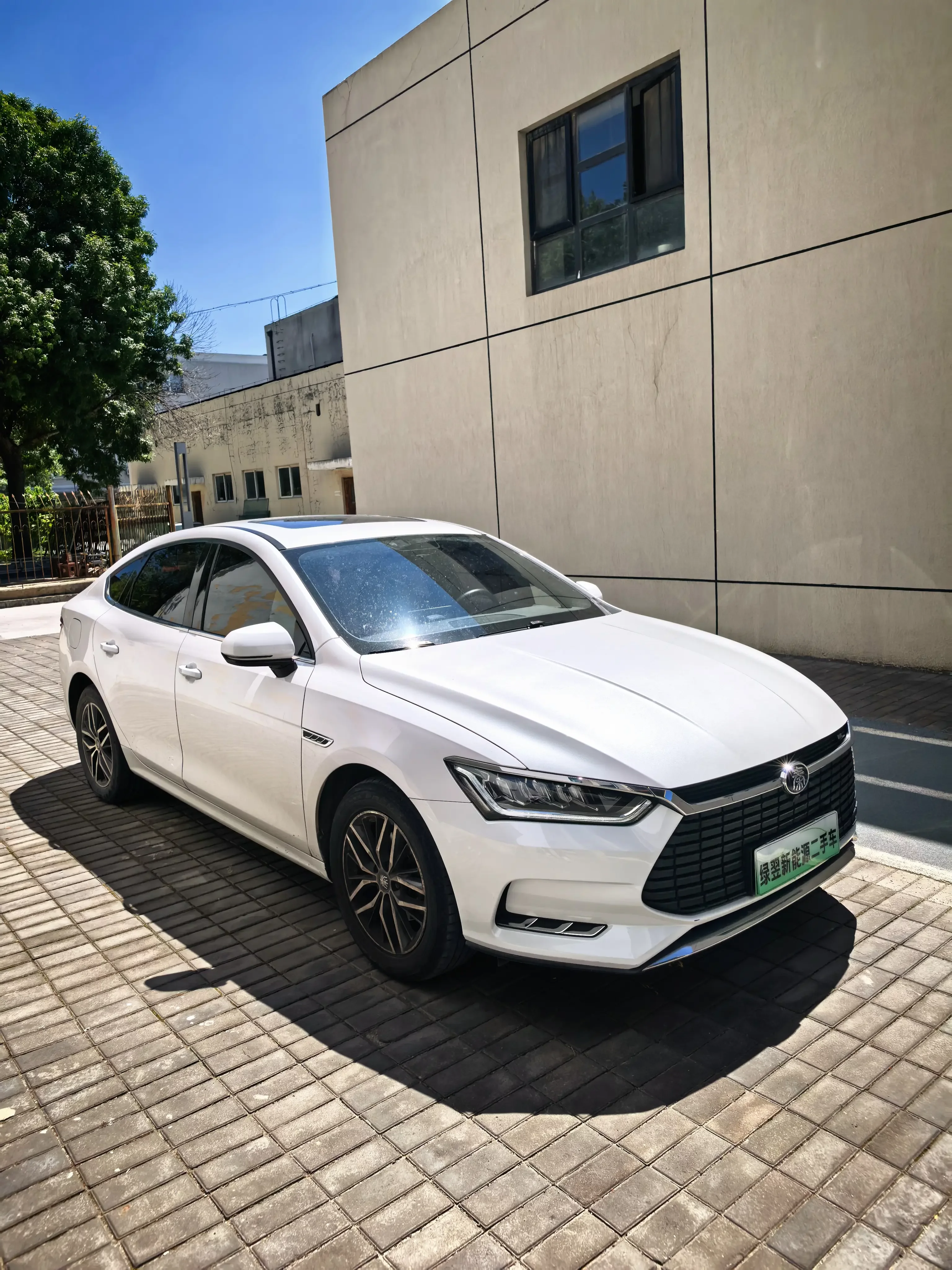 BYD Qin Pro EV