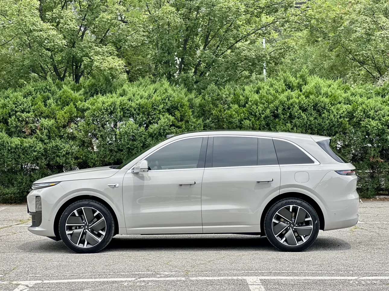 Lixiang L6