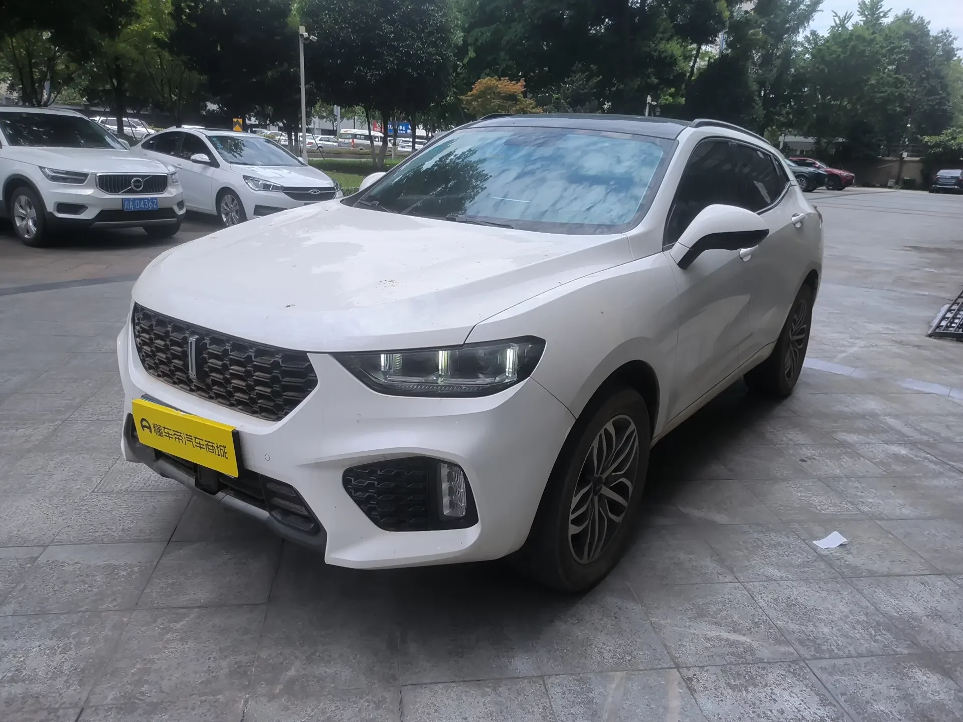 Wey Wei brand VV5