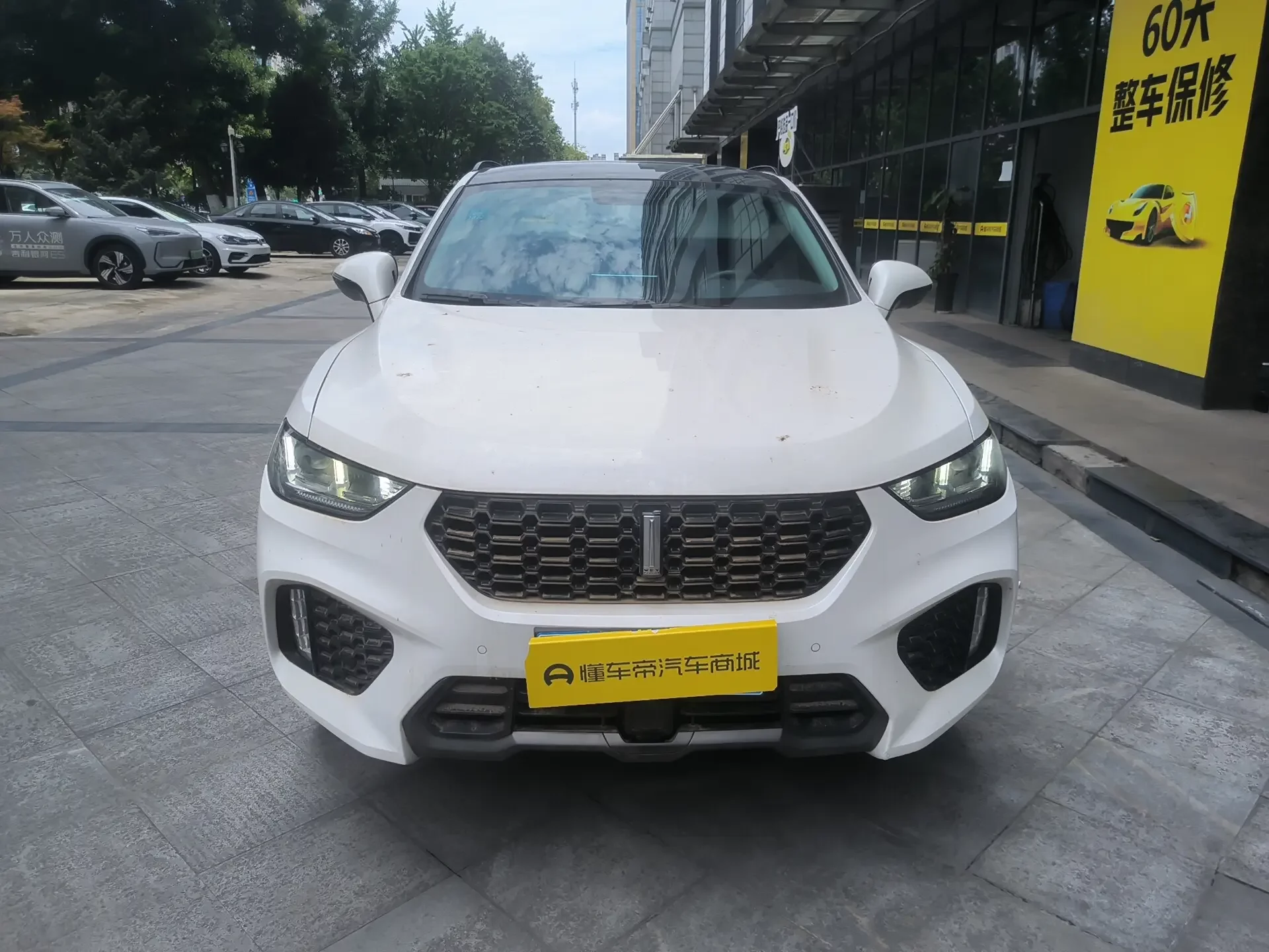 Wey Wei brand VV5