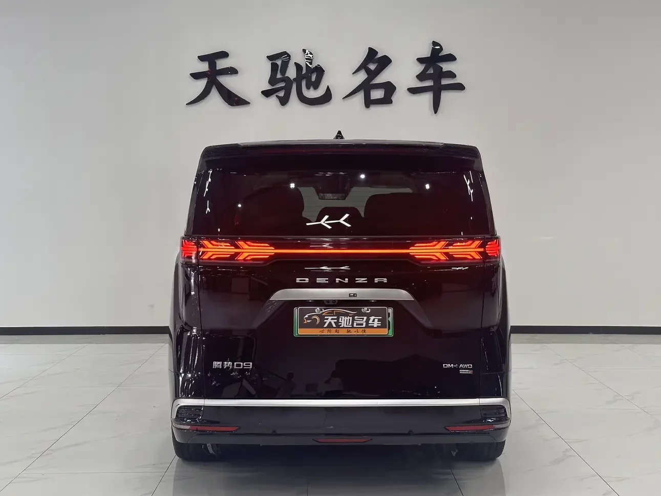 Denza D9 DM