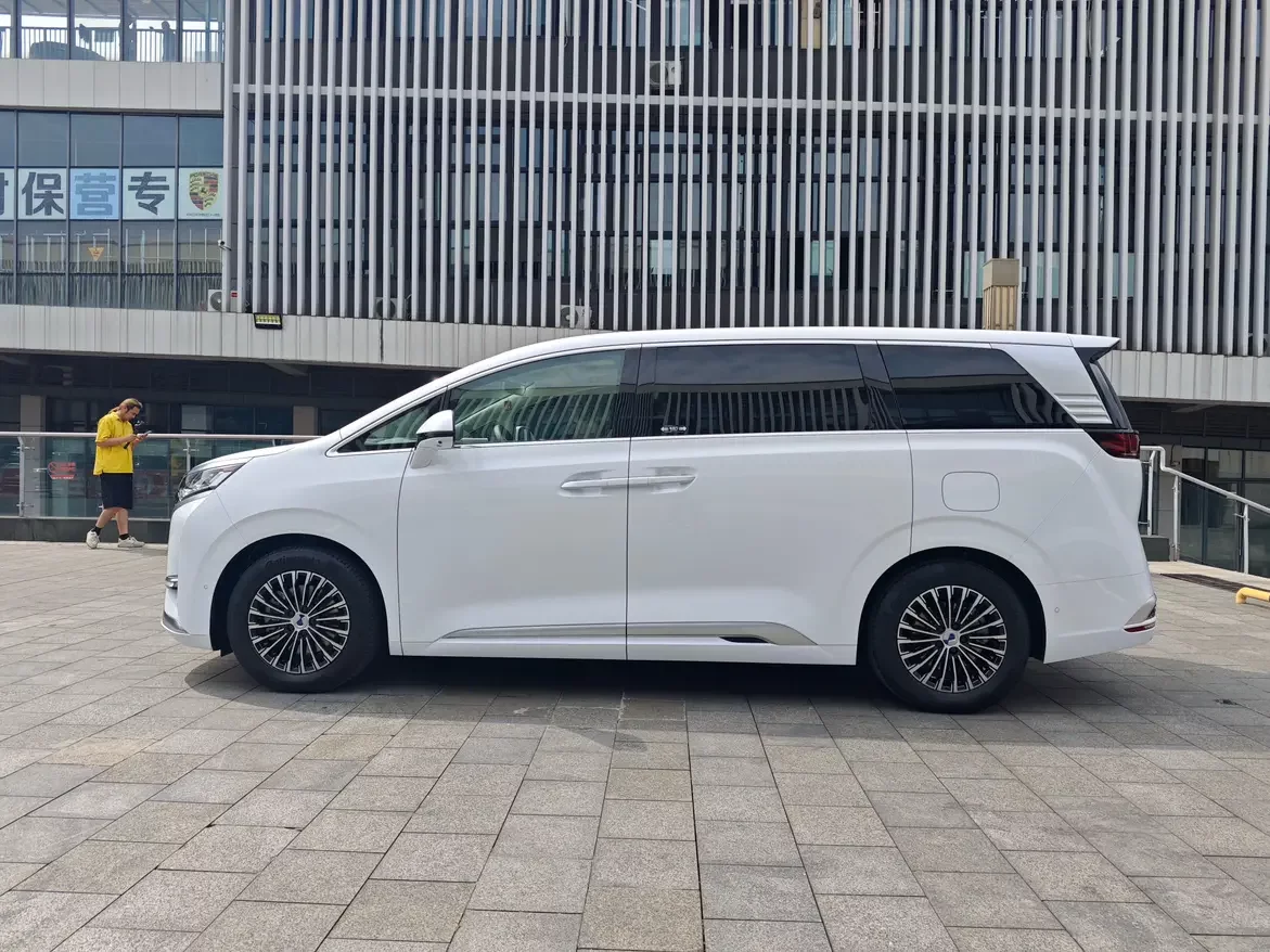 Denza D9 DM