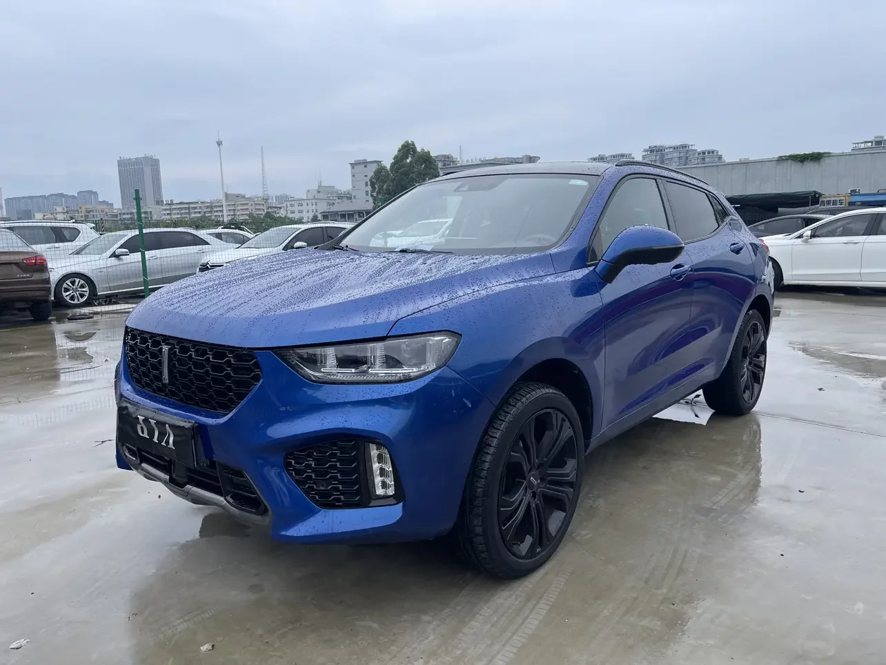 Wey Wei brand VV5