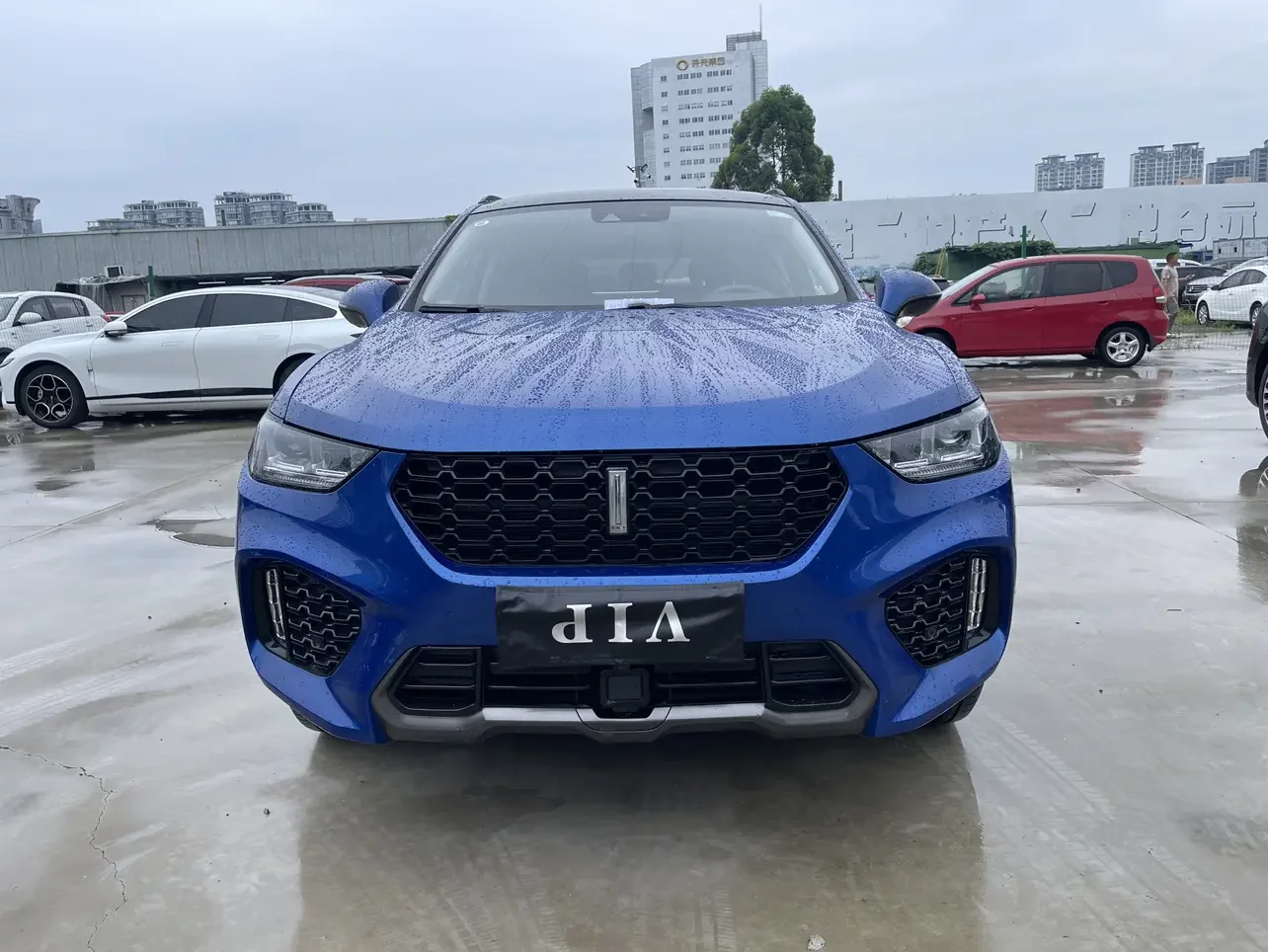 Wey Wei brand VV5