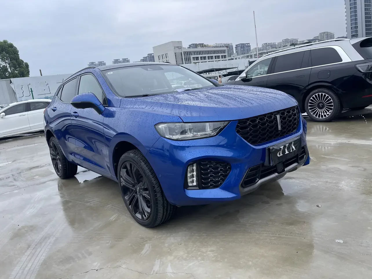 Wey Wei brand VV5