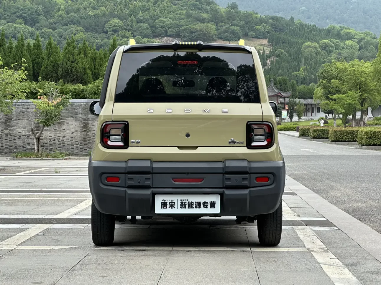 Geely panda