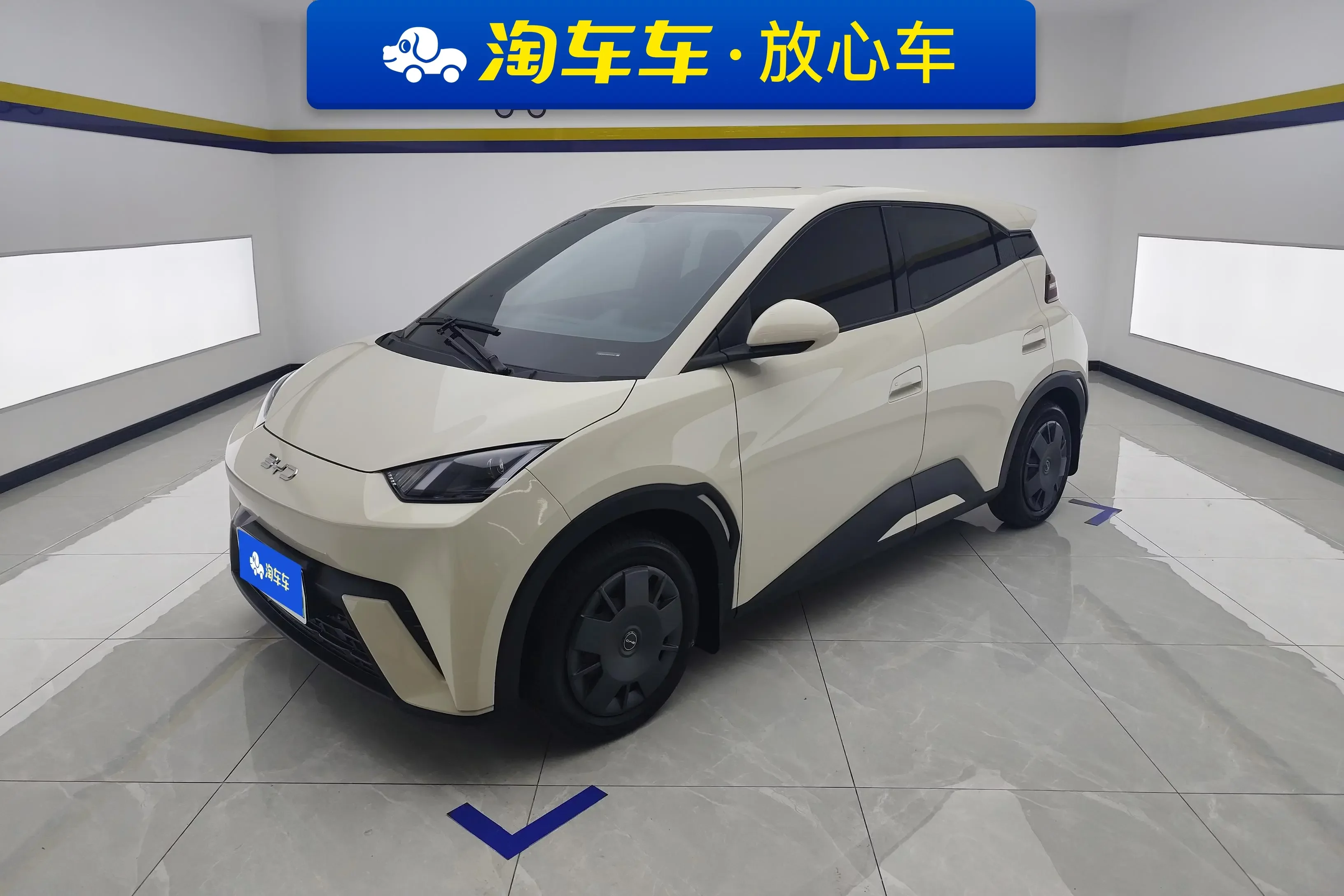 BYD seagull