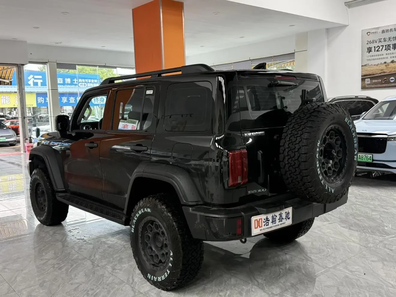 Tank 300