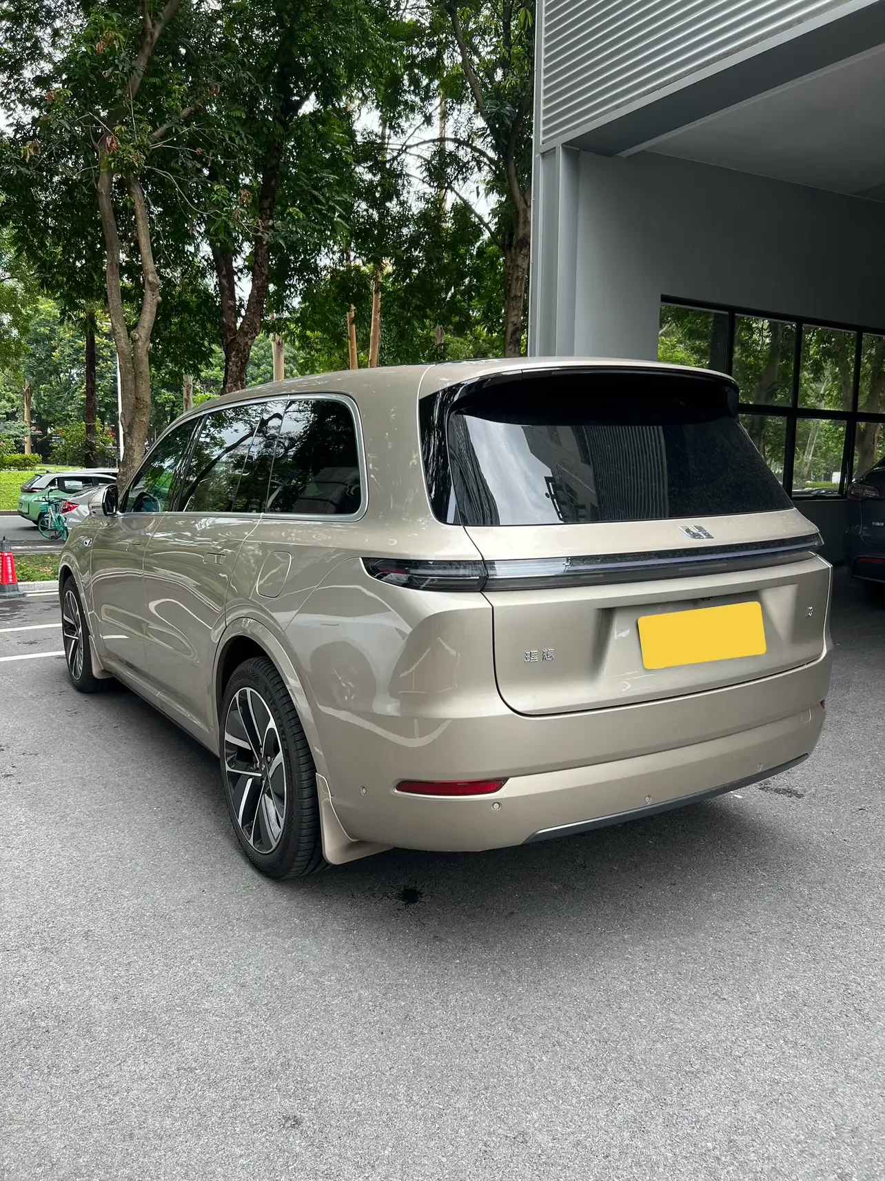 Lixiang L9