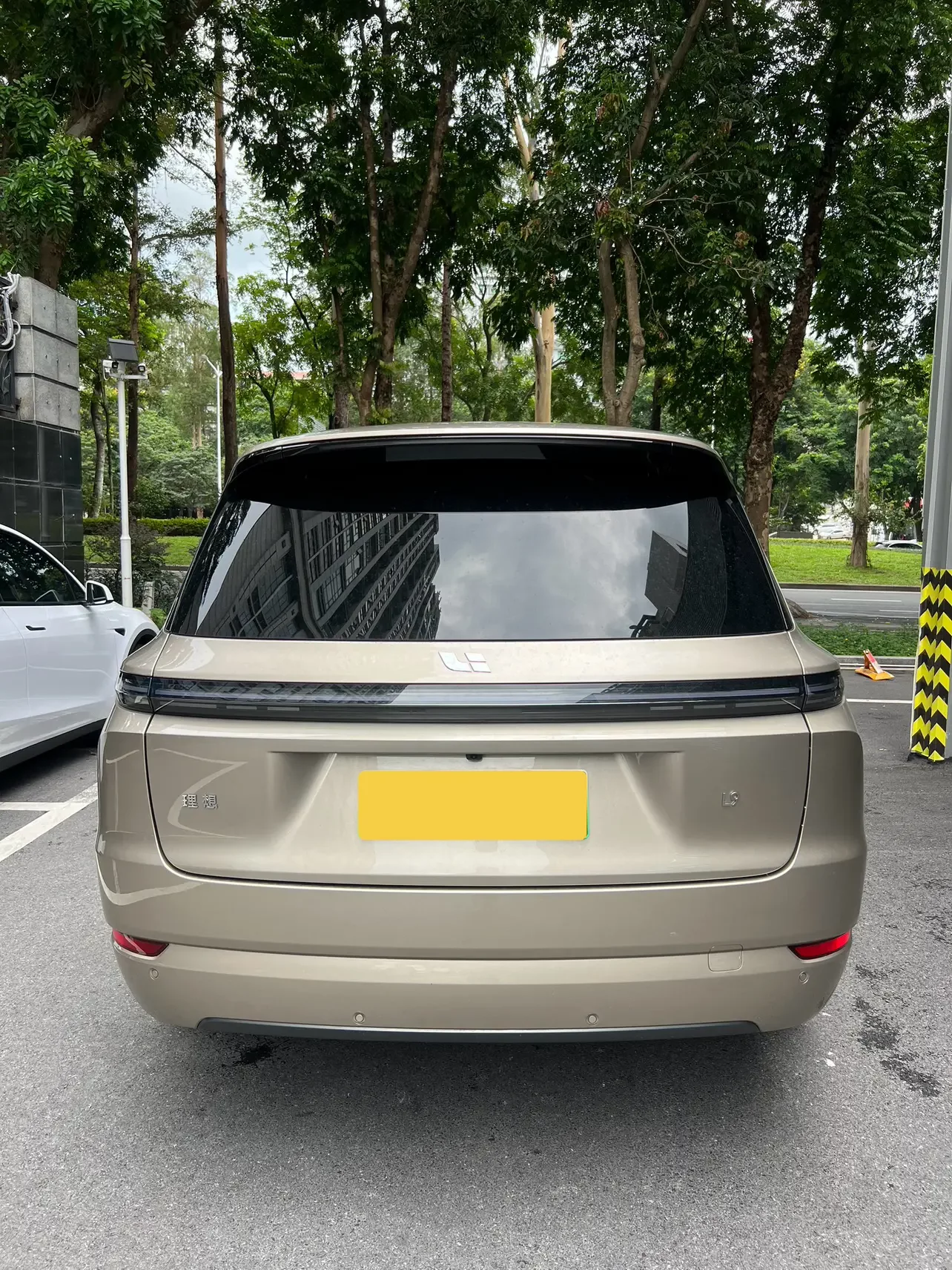 Lixiang L9