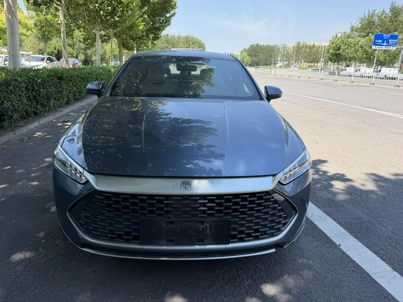 BYD Qin PLUS DM