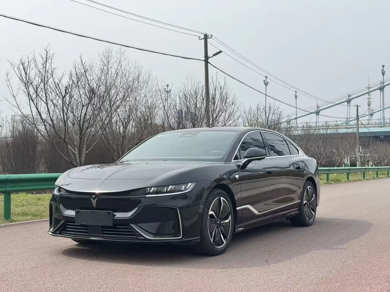 Voyah ELECTRIC EV