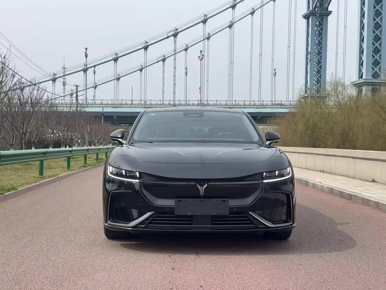 Voyah ELECTRIC EV