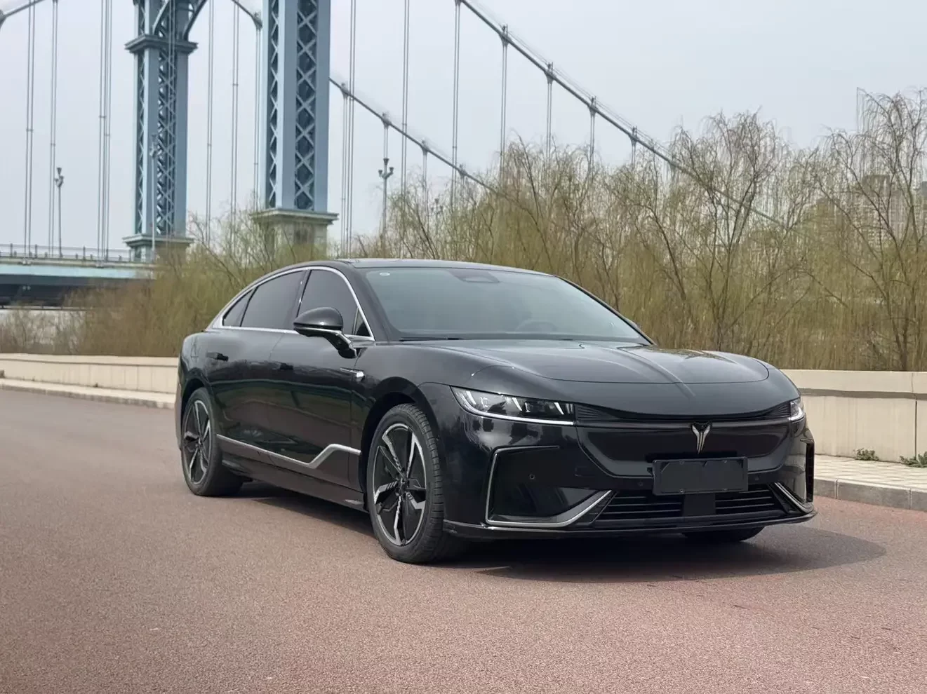 Voyah ELECTRIC EV