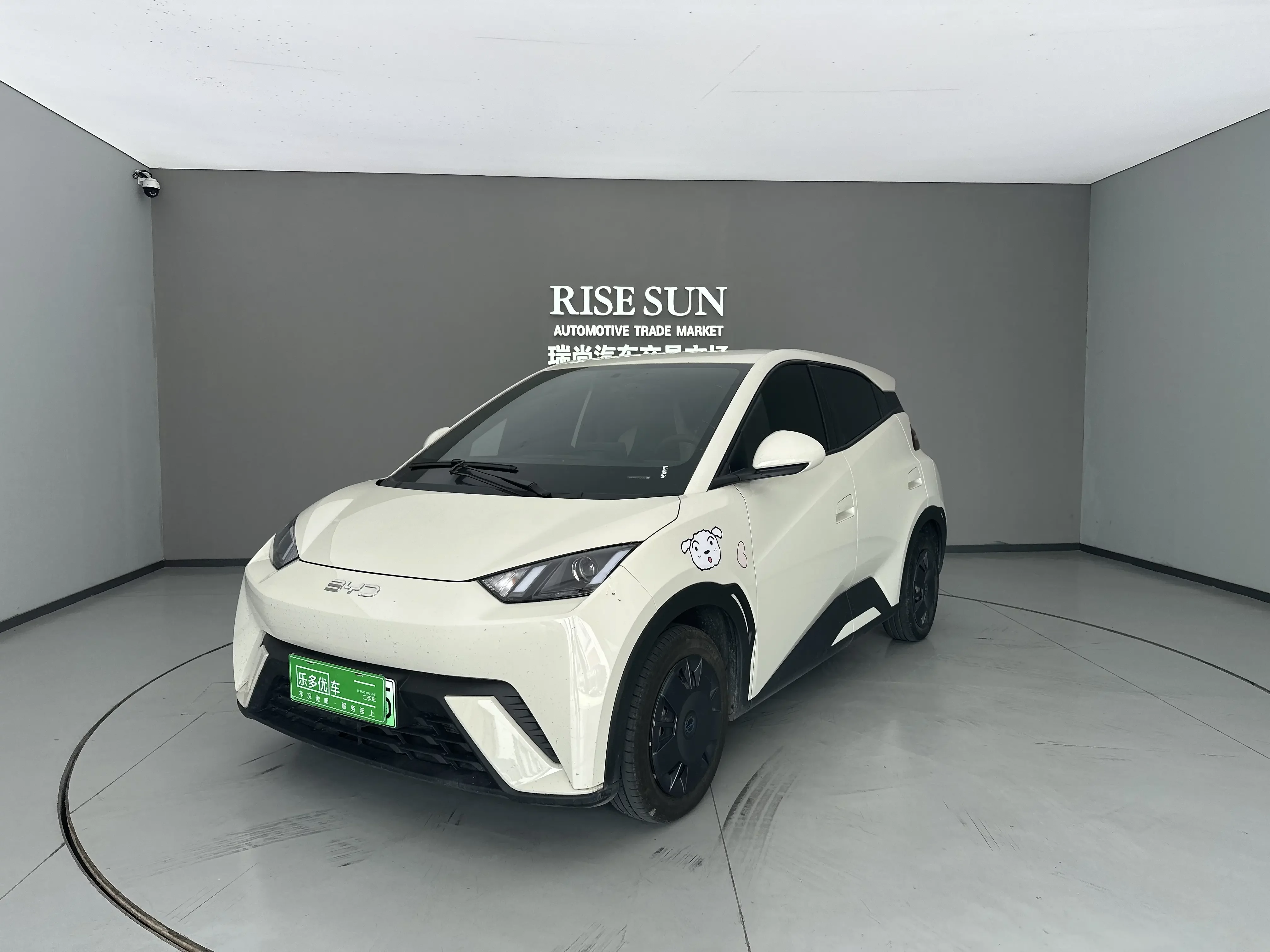 BYD seagull