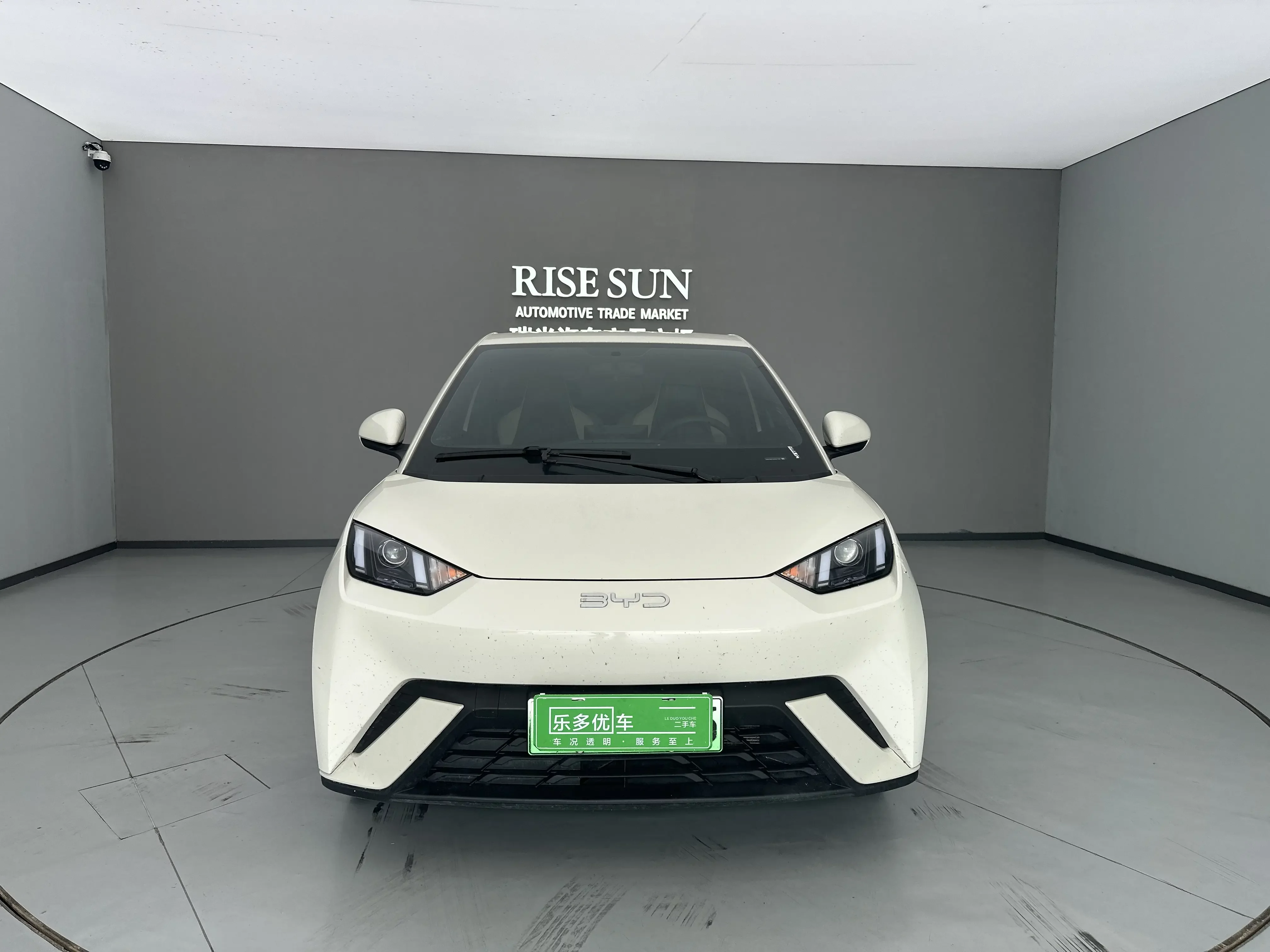 BYD seagull