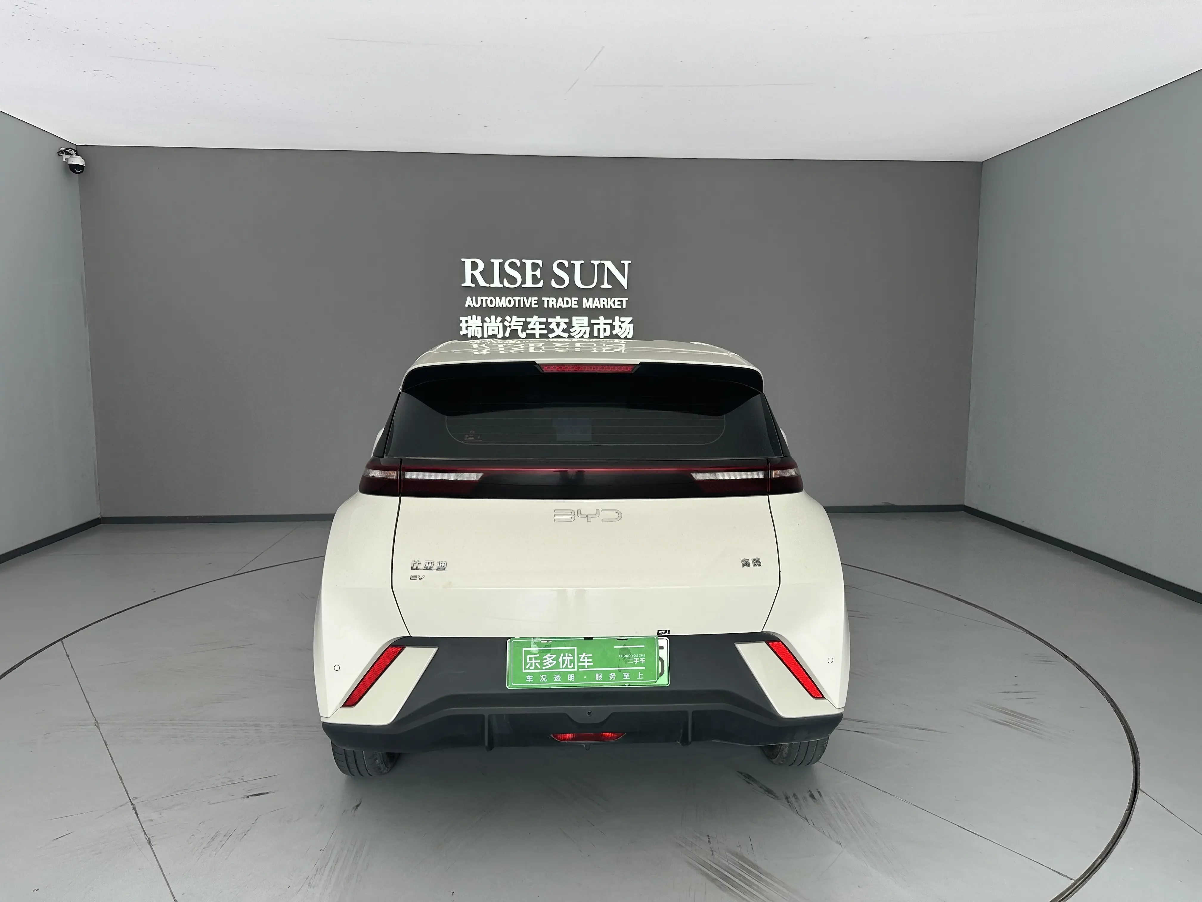 BYD seagull