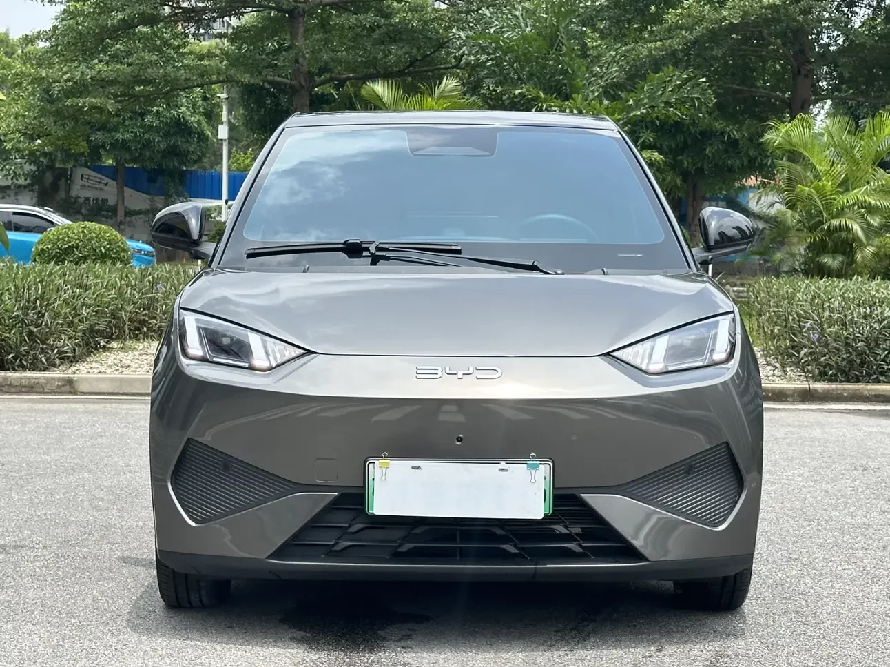 BYD seagull