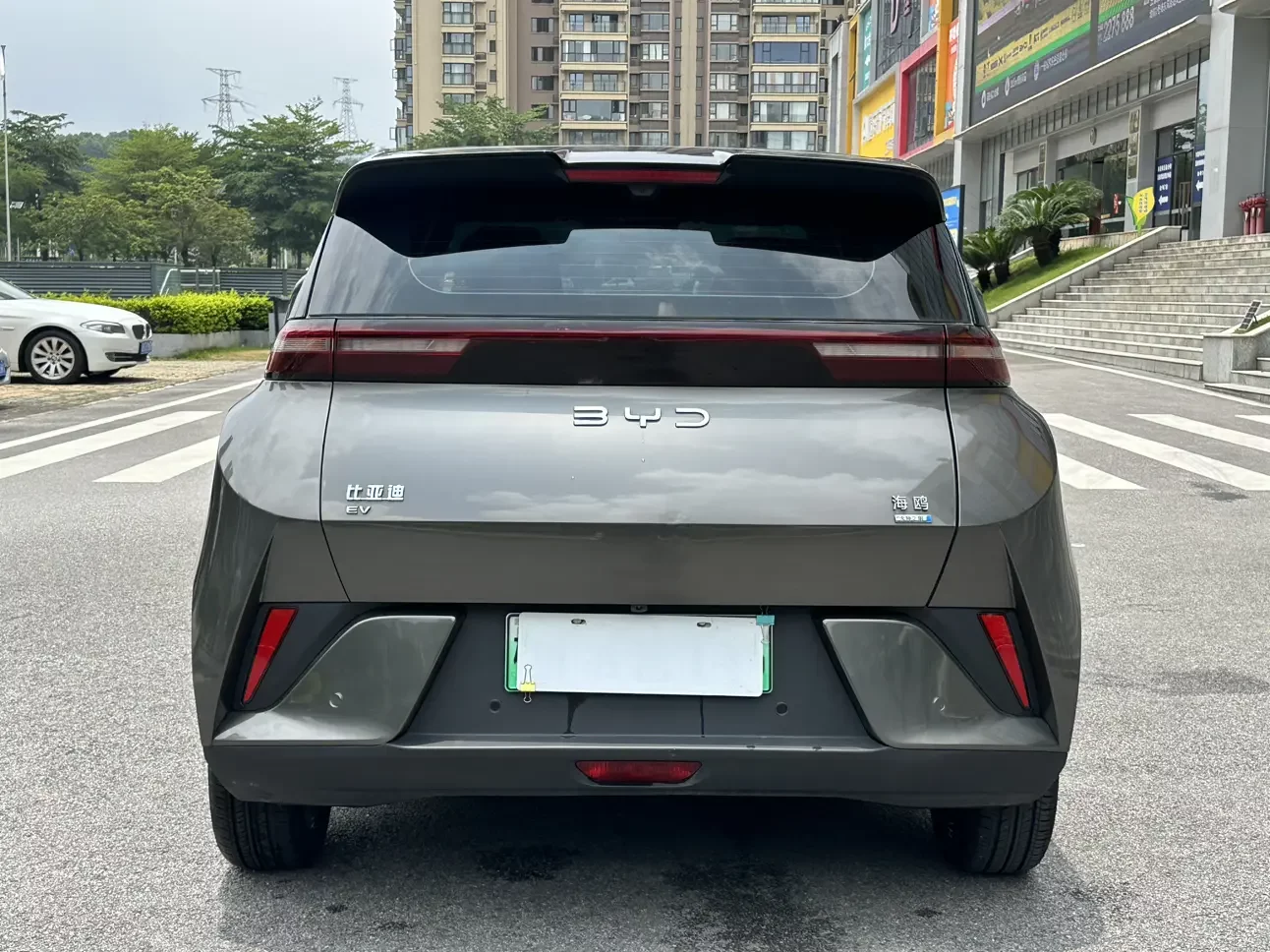 BYD seagull