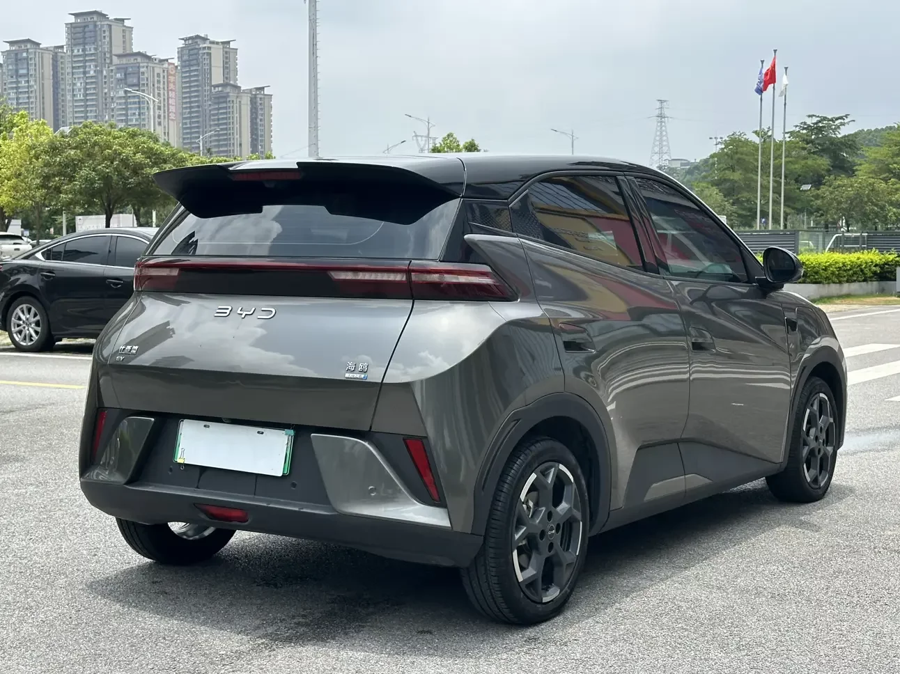 BYD seagull